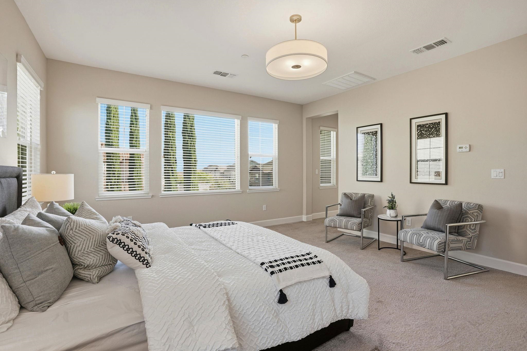 Detail Gallery Image 35 of 55 For 1110 S Vecindad St, Mountain House,  CA 95391 - 4 Beds | 3/1 Baths