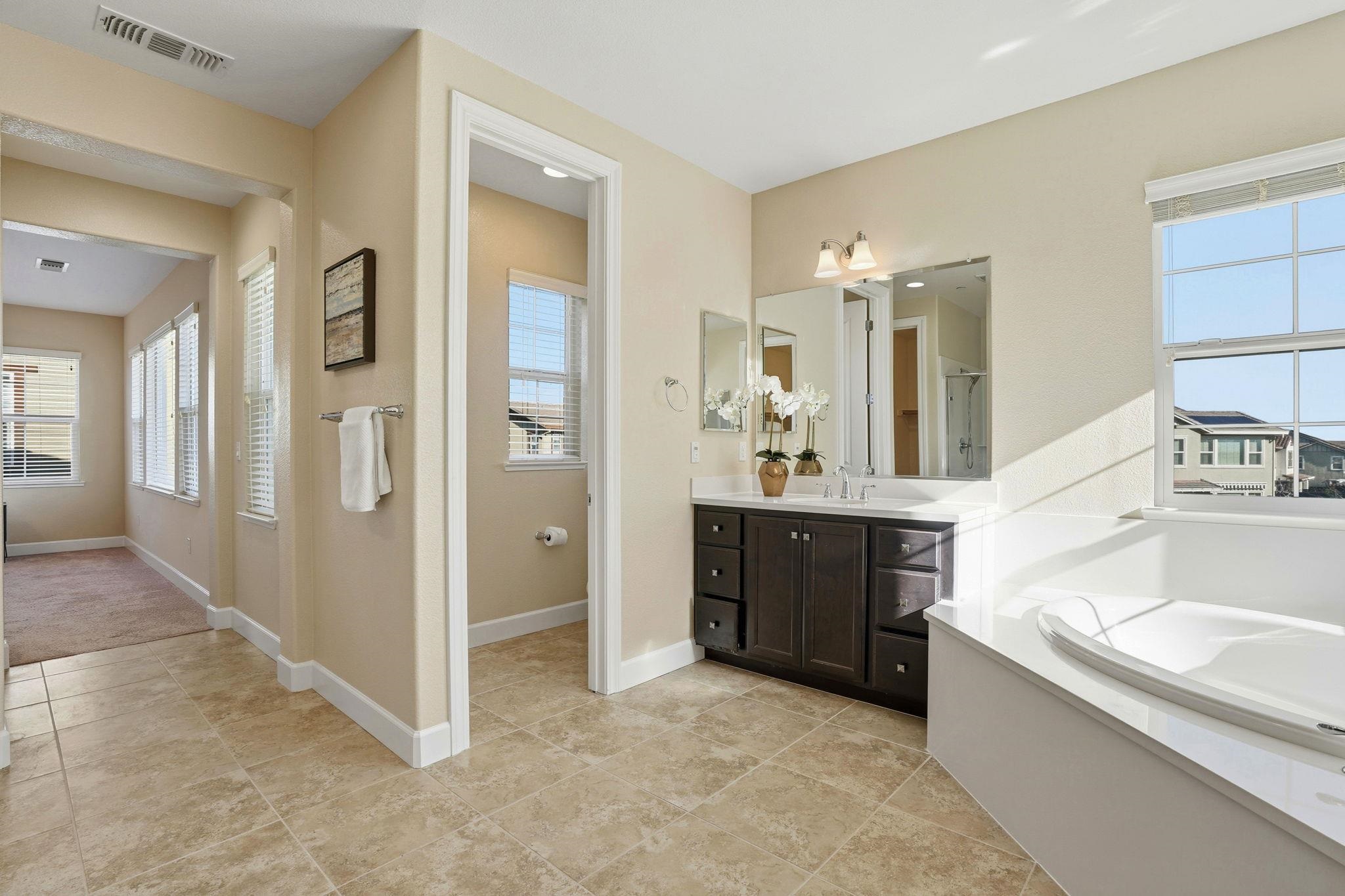 Detail Gallery Image 47 of 55 For 1110 S Vecindad St, Mountain House,  CA 95391 - 4 Beds | 3/1 Baths