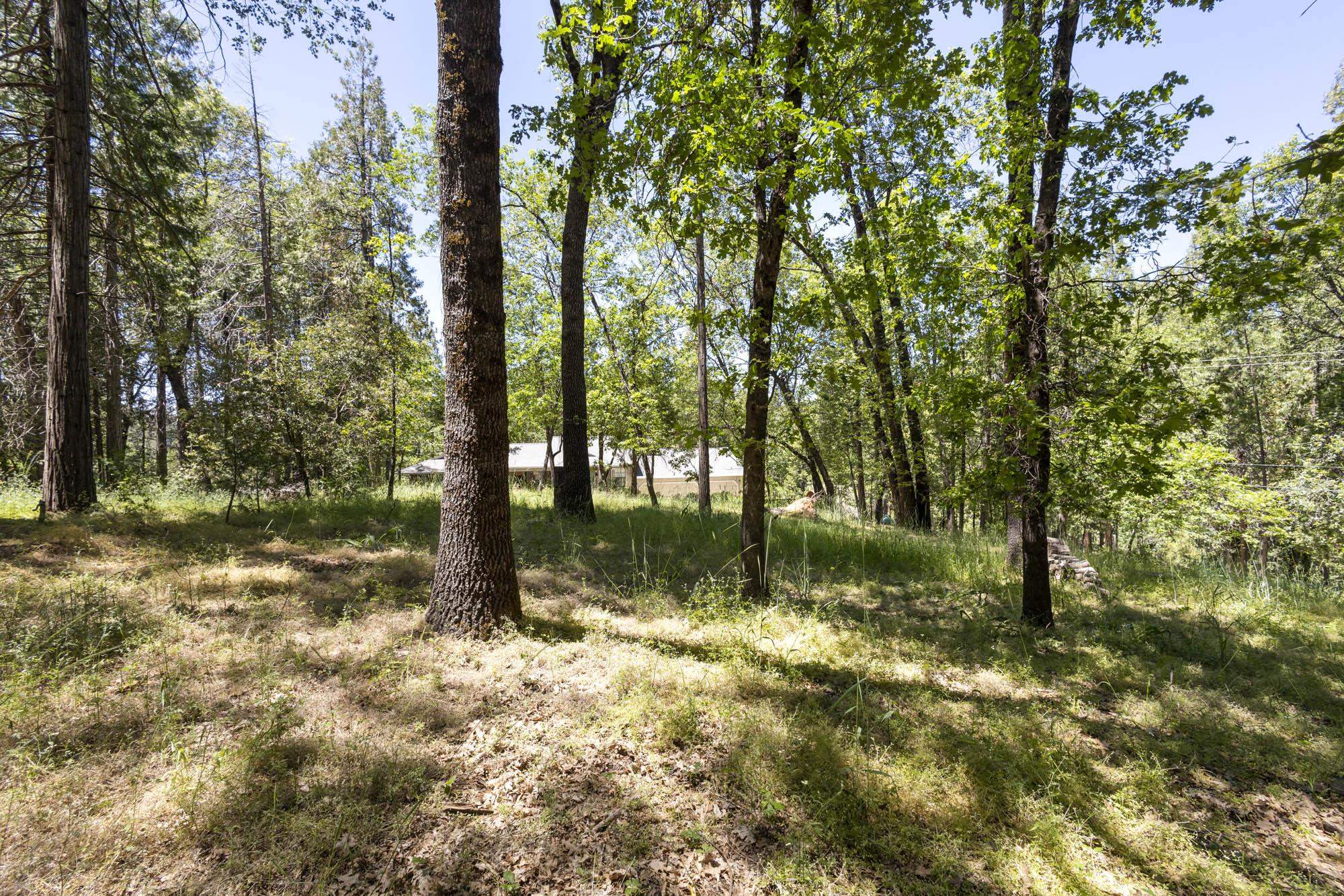 Detail Gallery Image 3 of 38 For 17787 Lucky Strike Trail, Sonora,  CA 95370 - 3 Beds | 2 Baths