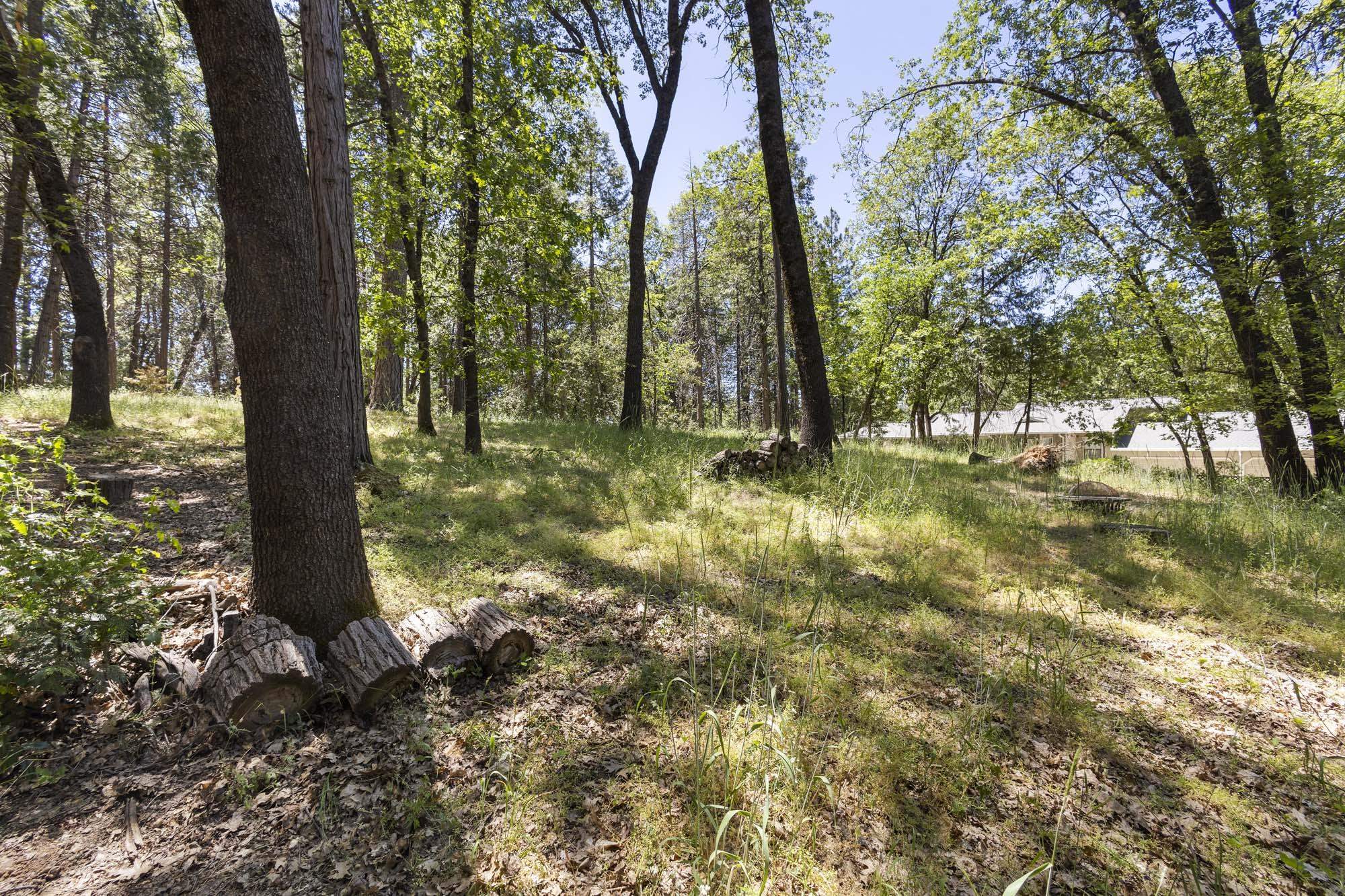 Detail Gallery Image 32 of 38 For 17787 Lucky Strike Trail, Sonora,  CA 95370 - 3 Beds | 2 Baths