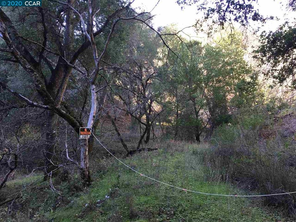 Front Image Thumbnail for CC41120351