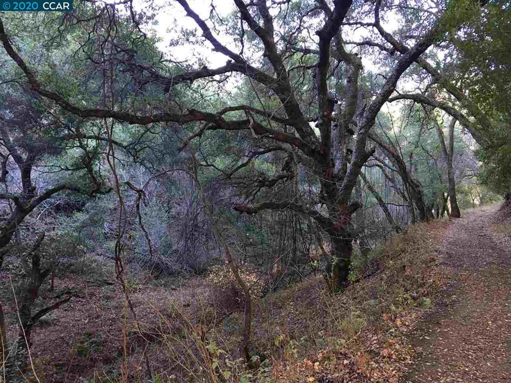 Detail Gallery Image 2 of 4 For Lark Ln, Alamo,  CA 94507 - – Beds | – Baths