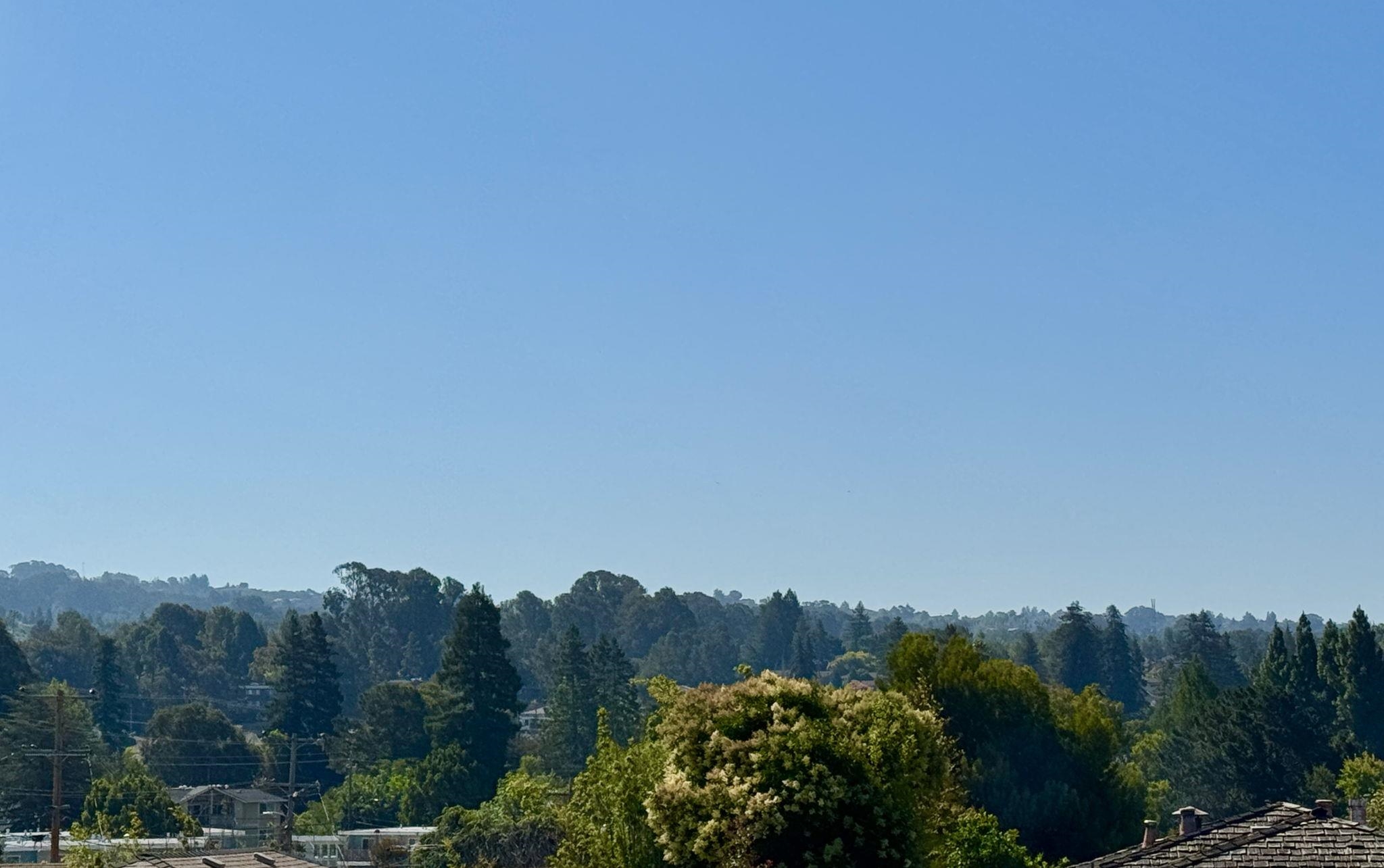 Photo #21: 41120352 Listing: Photo #21