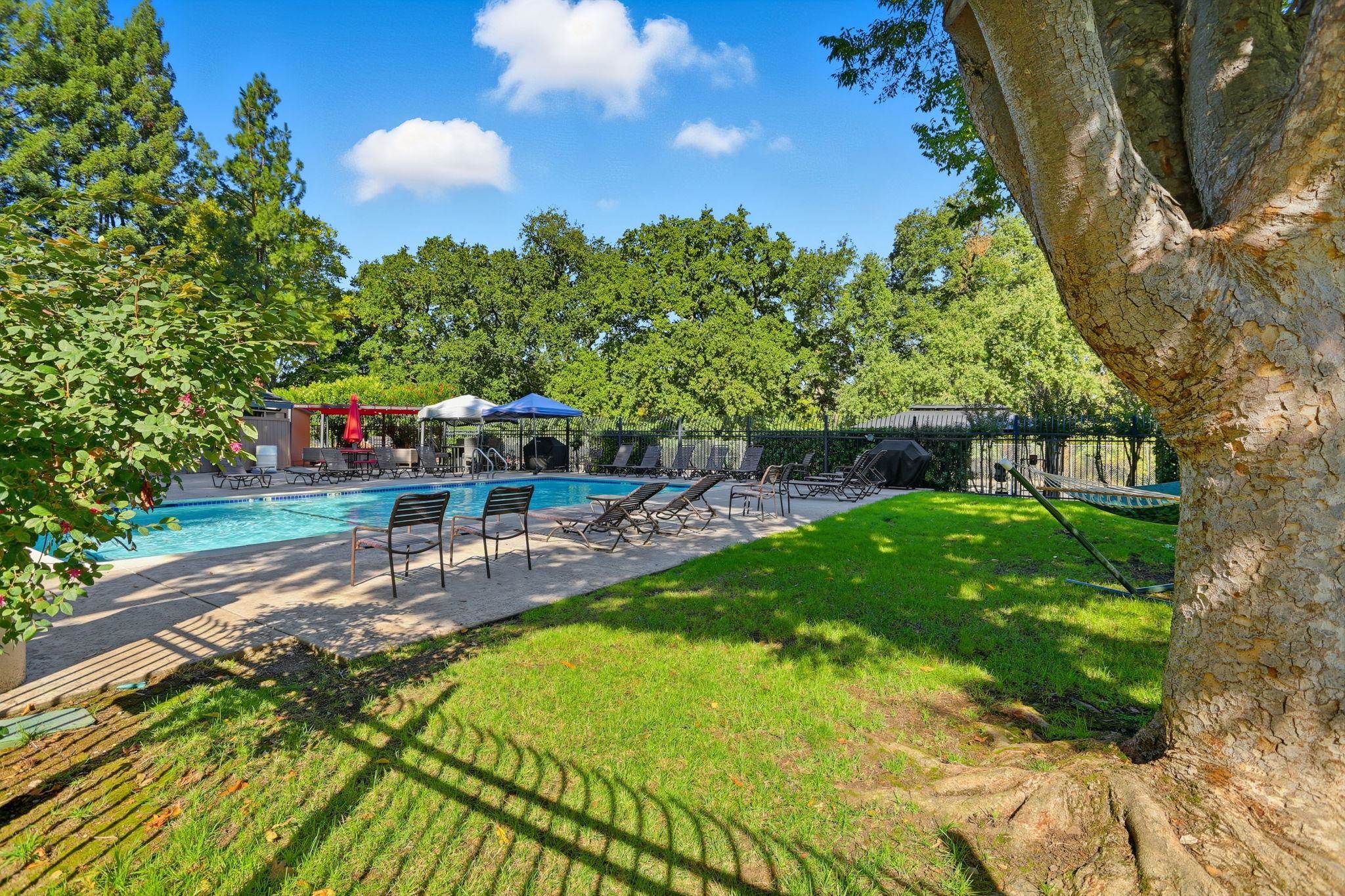 Photo #19: 41120355 Listing: Photo #19