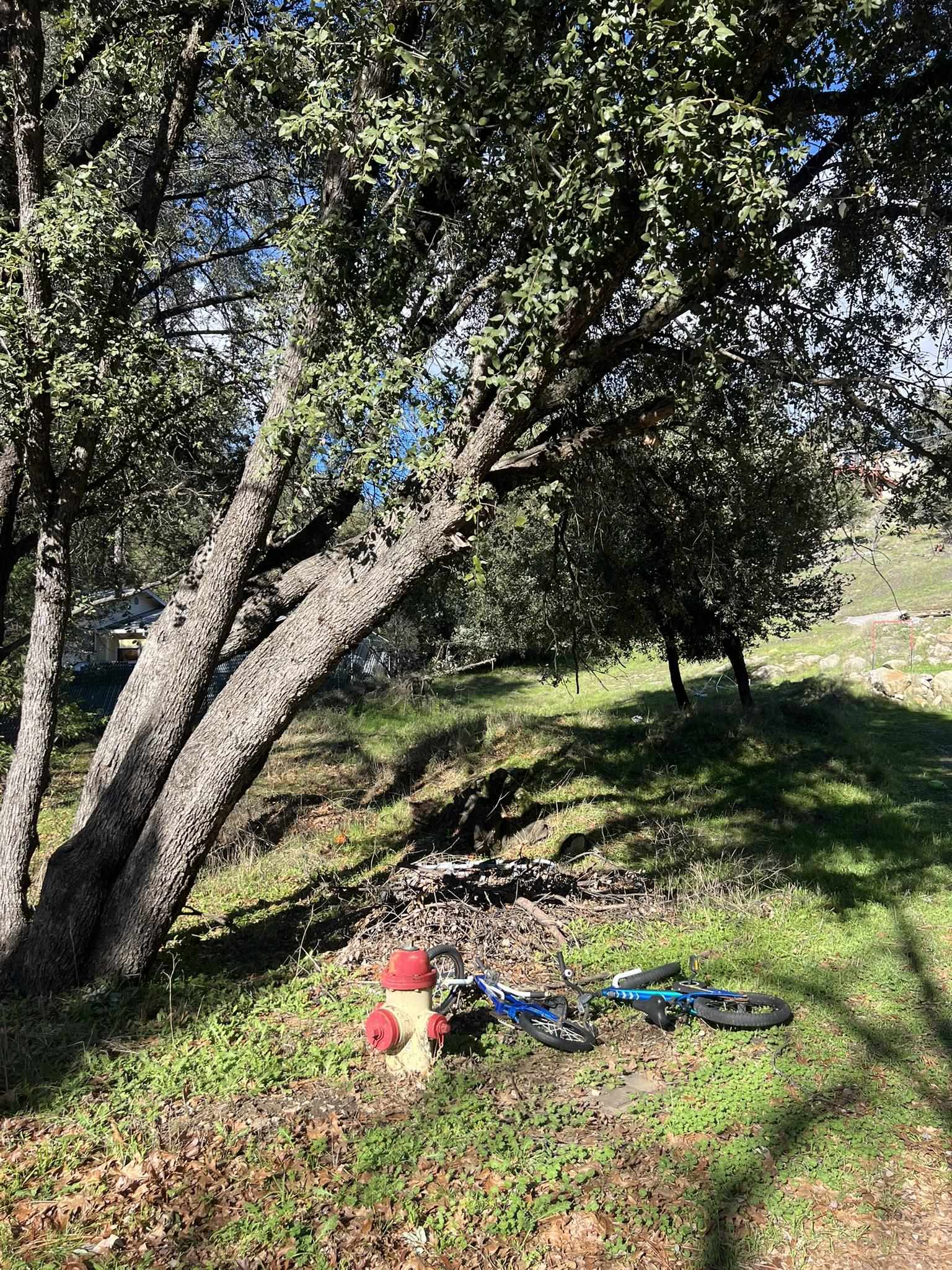 Detail Gallery Image 7 of 9 For 00000 Creekside Drive, Sonora,  CA 95370 - – Beds | – Baths