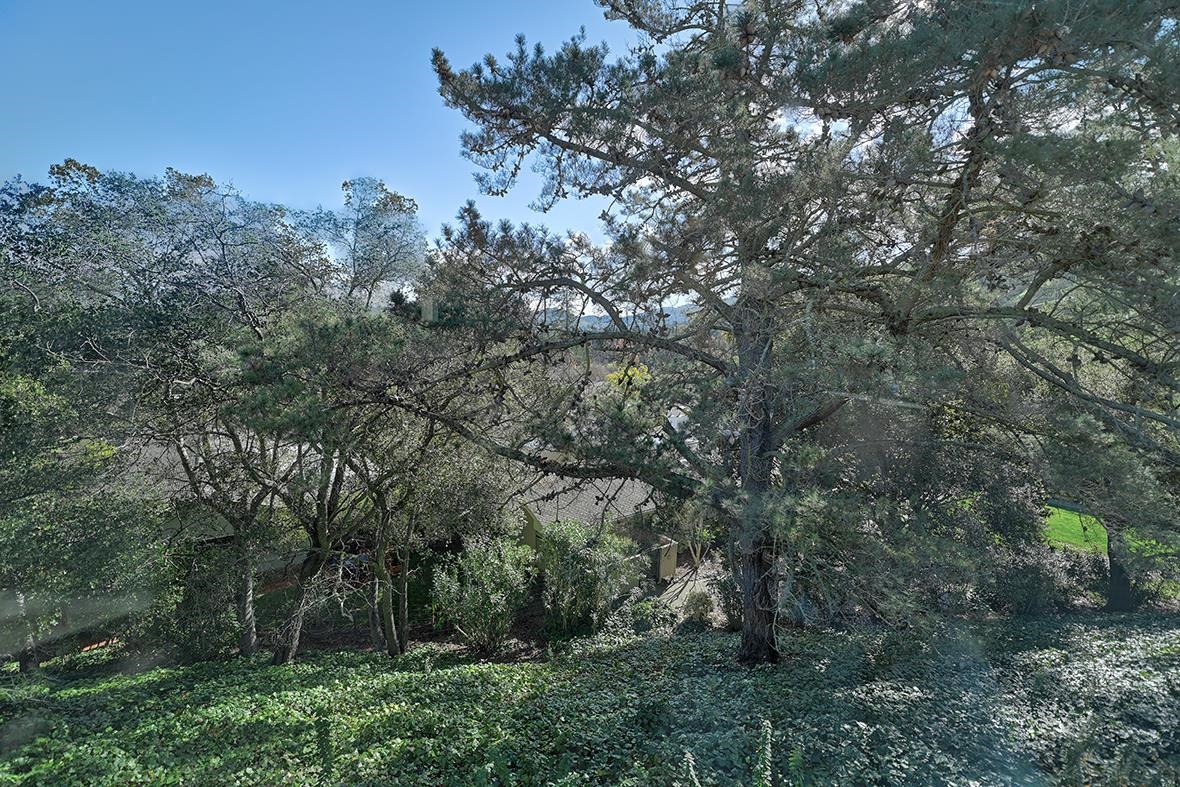 Detail Gallery Image 13 of 53 For 1708 Oakmont Dr #1,  Walnut Creek,  CA 94595 - 2 Beds | 1 Baths