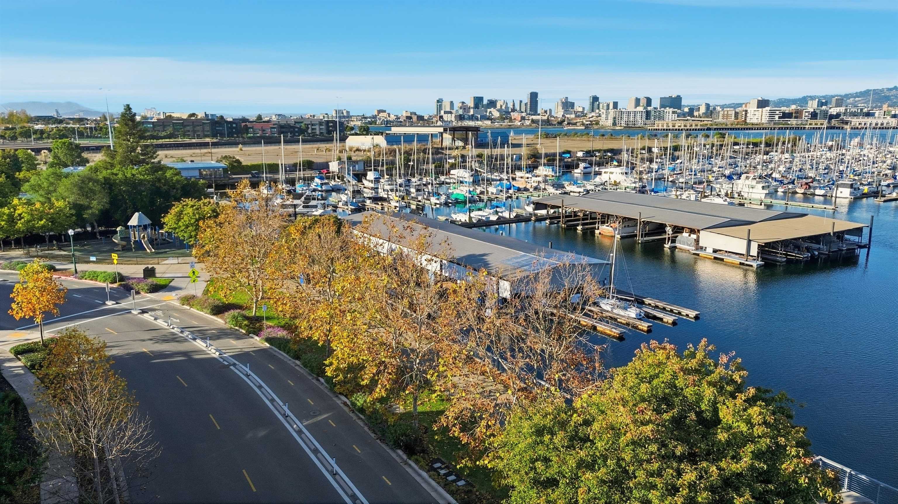 Photo #57: 41120375 Listing: Photo #57