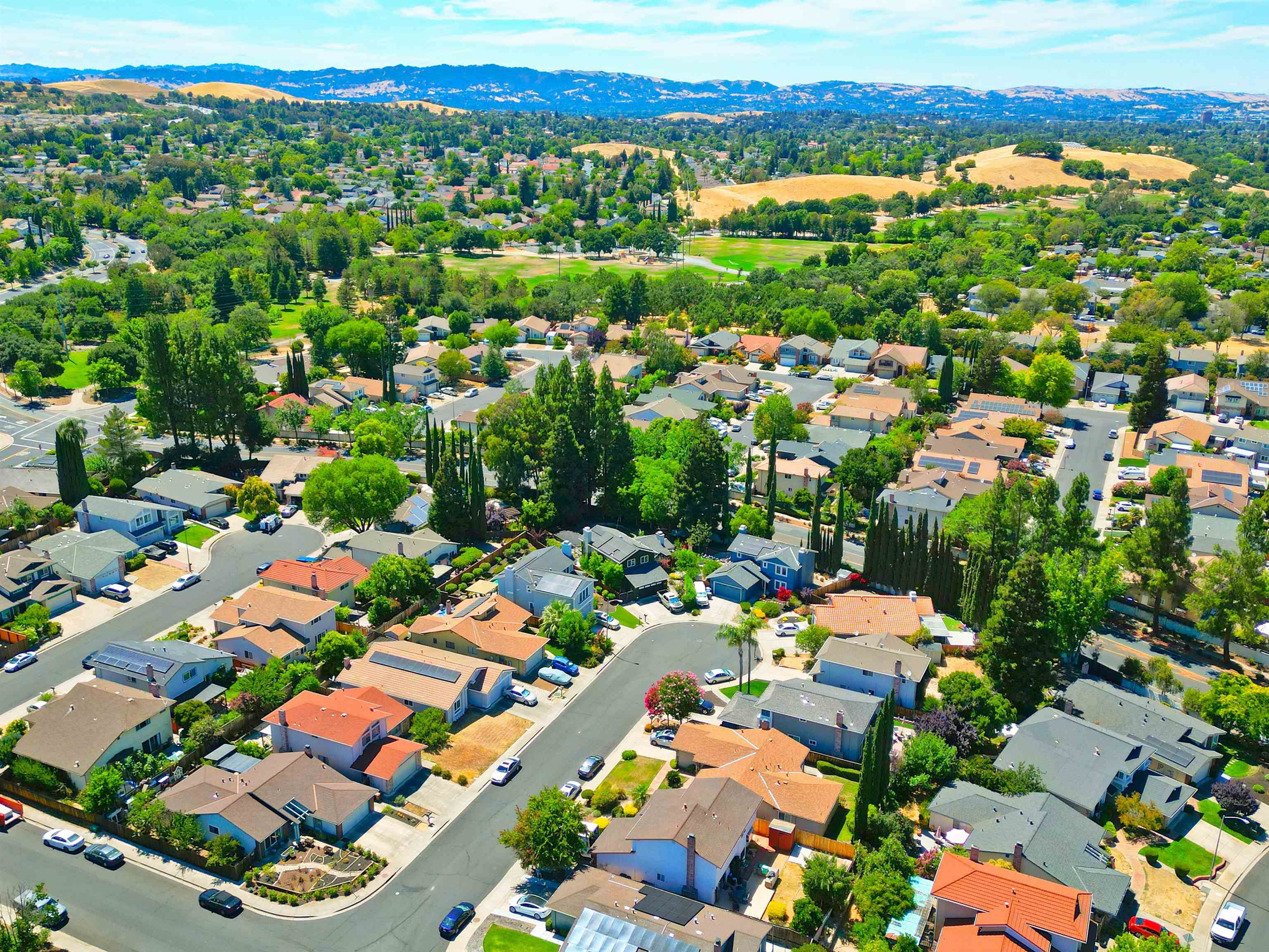 Front Image Thumbnail for CC41120382