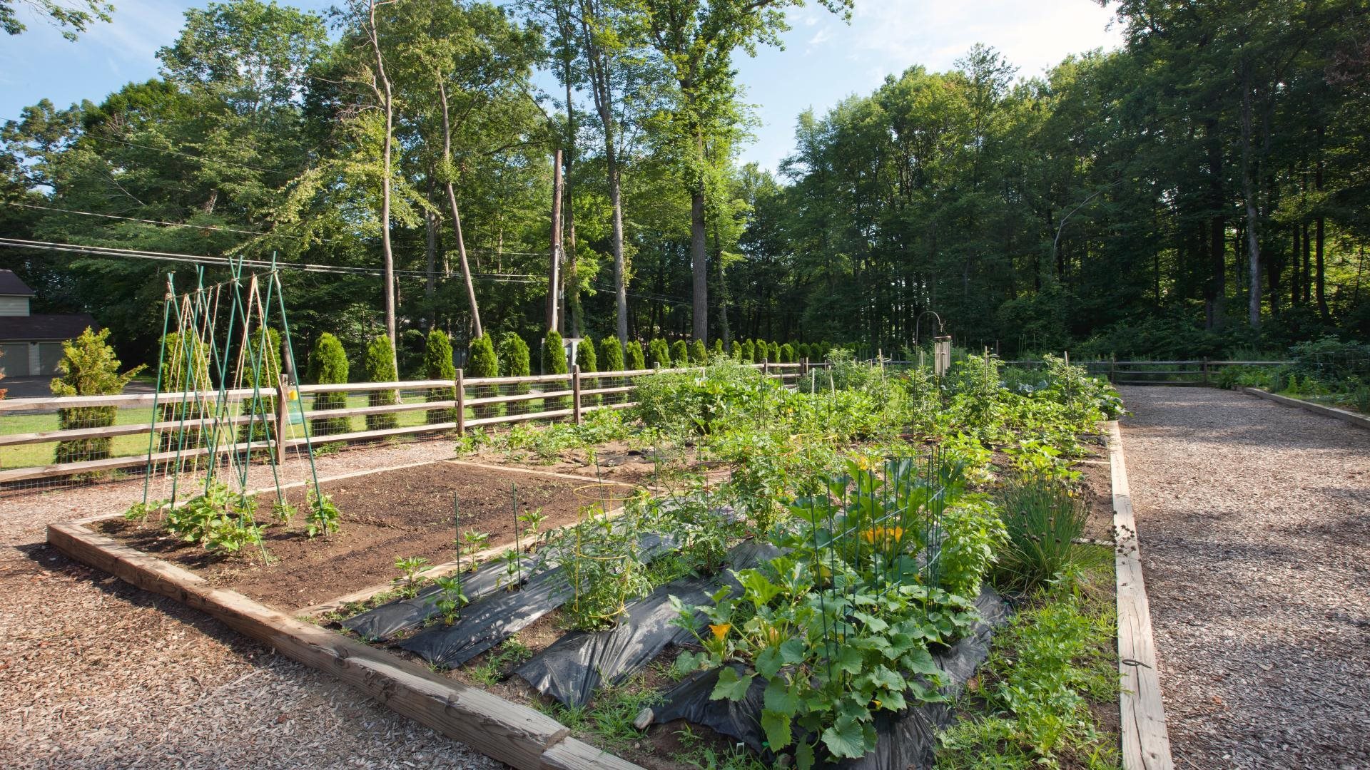 Detail Gallery Image 28 of 30 For 3368 Echo Way, Tracy,  CA 95377 - 3 Beds | 2/1 Baths