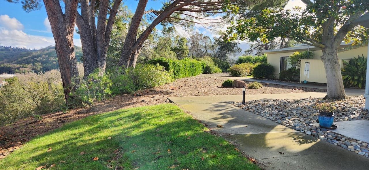 Photo #7: 41120391 Listing: Photo #7