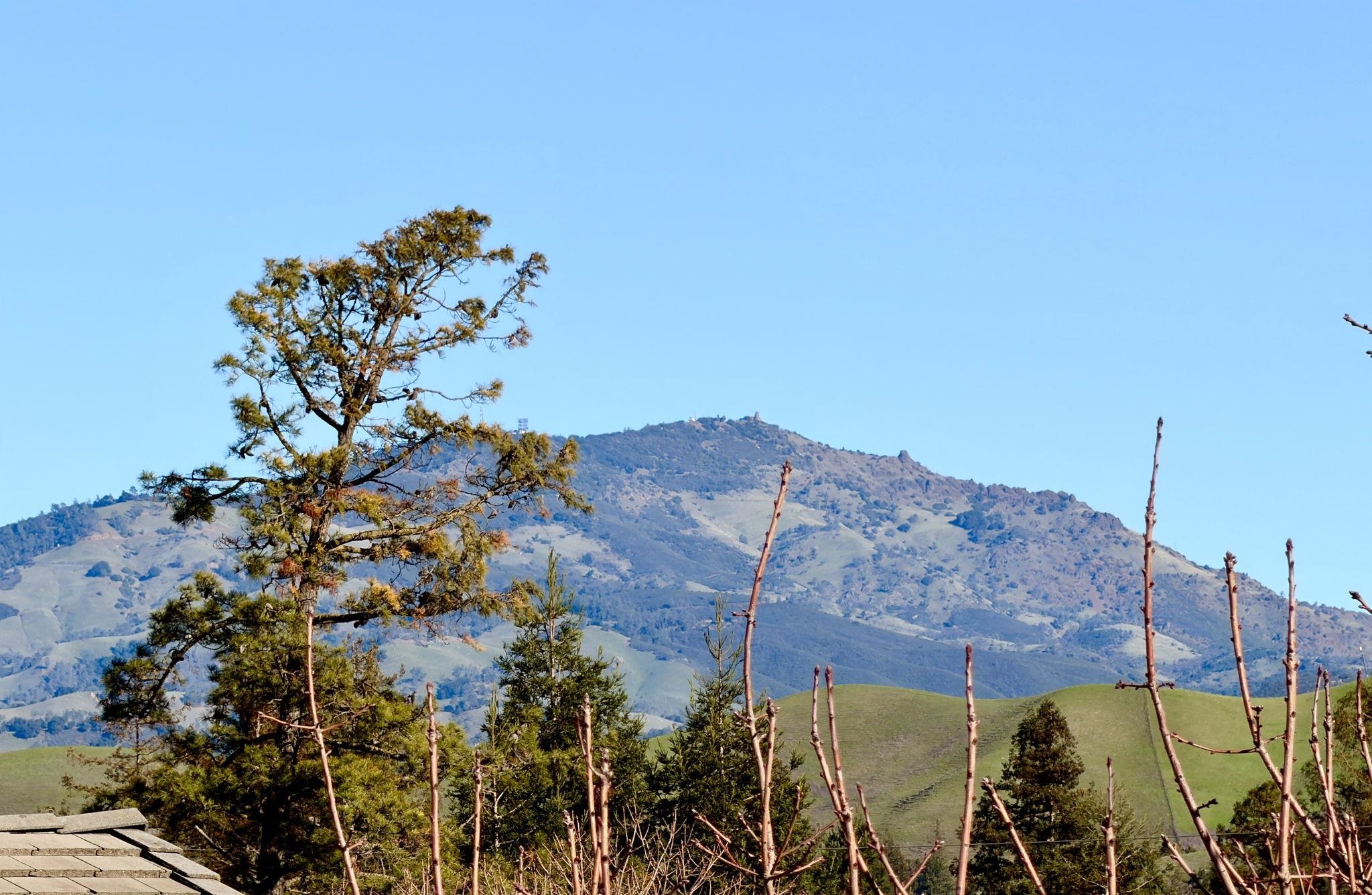 Photo #17: 41120394 Listing: Photo #17