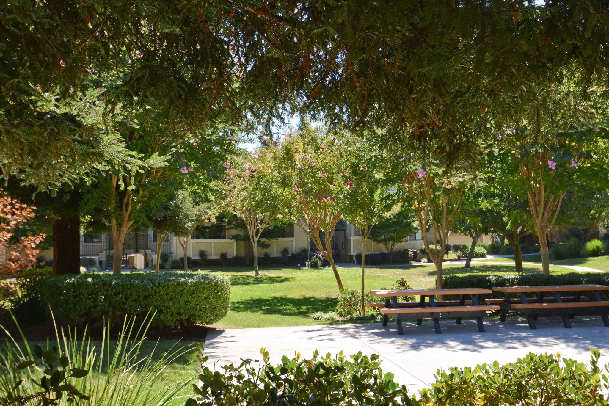 Photo #26: 41120394 Listing: Photo #26