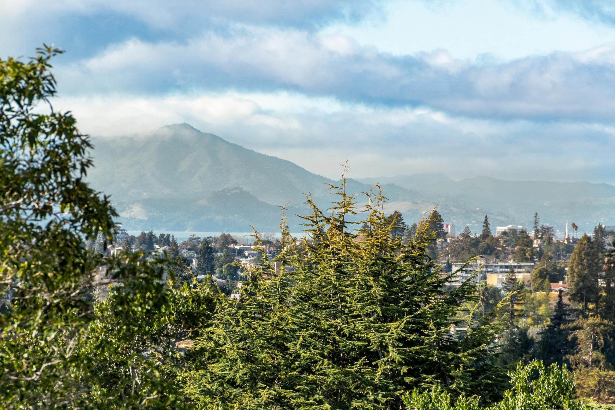 Detail Gallery Image 41 of 60 For 4623 Davenport Ave, Oakland,  CA 94619 - 3 Beds | 2 Baths