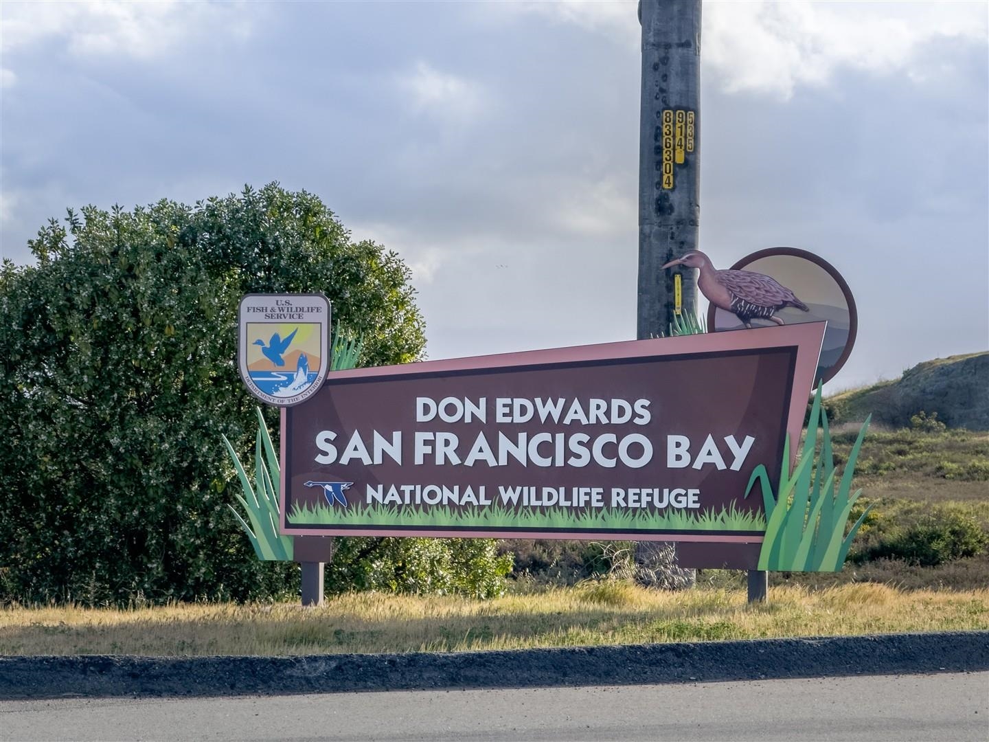 Detail Gallery Image 37 of 40 For 35875 Argonne St, Newark,  CA 94560 - 3 Beds | 2 Baths