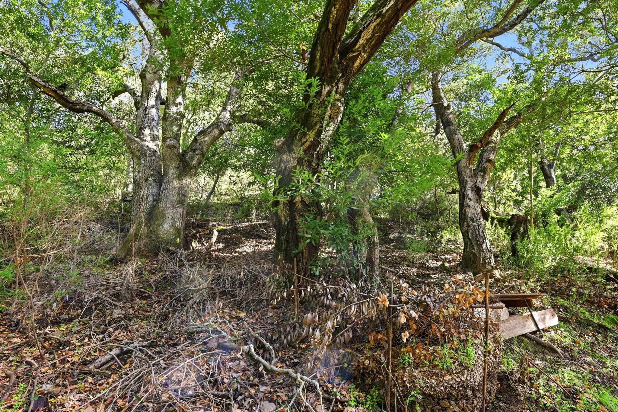 Detail Gallery Image 34 of 45 For 2397 Kilkare Rd, Sunol,  CA 94586 - 3 Beds | 1 Baths