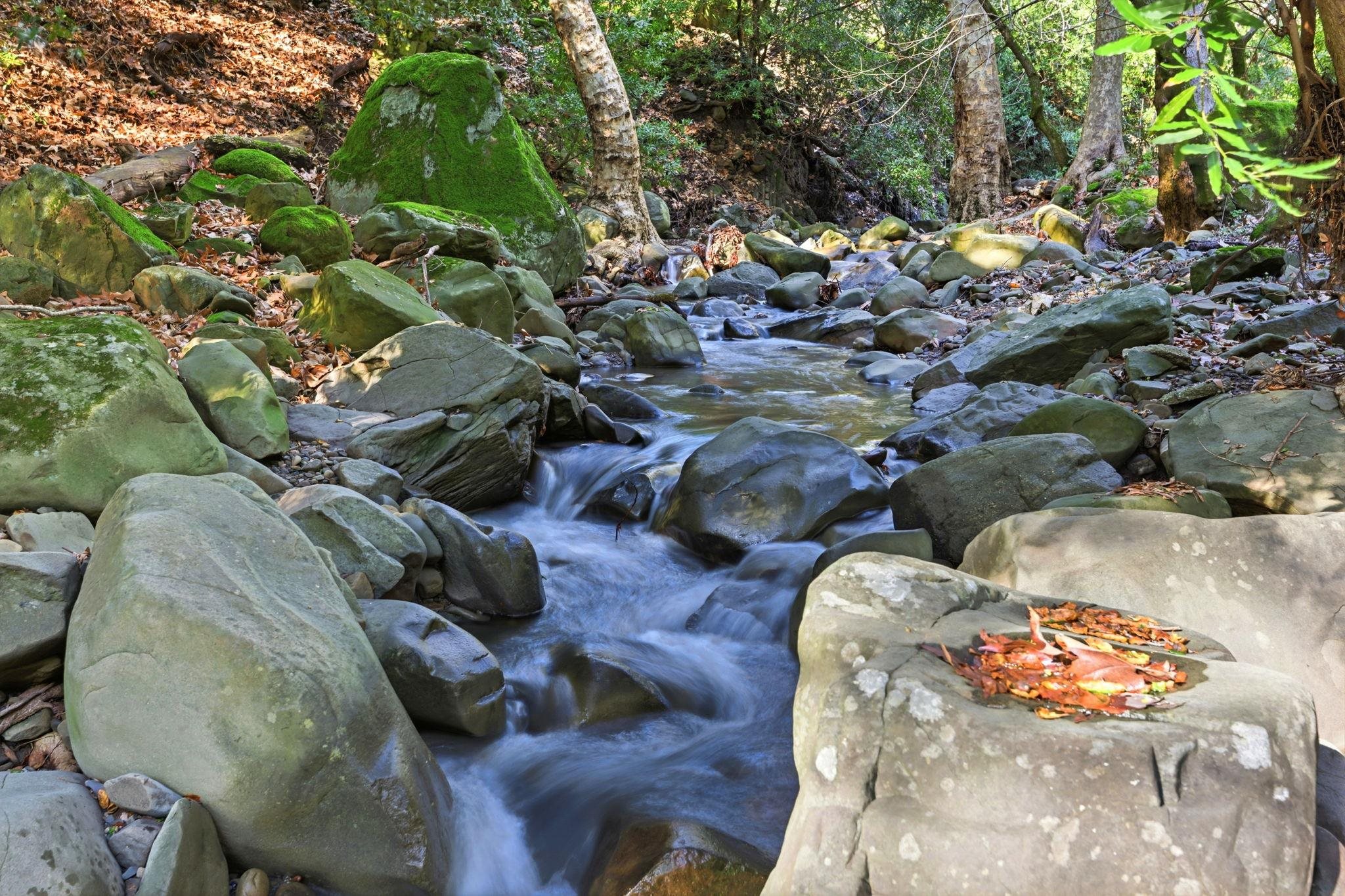 Detail Gallery Image 9 of 45 For 2397 Kilkare Rd, Sunol,  CA 94586 - 3 Beds | 1 Baths