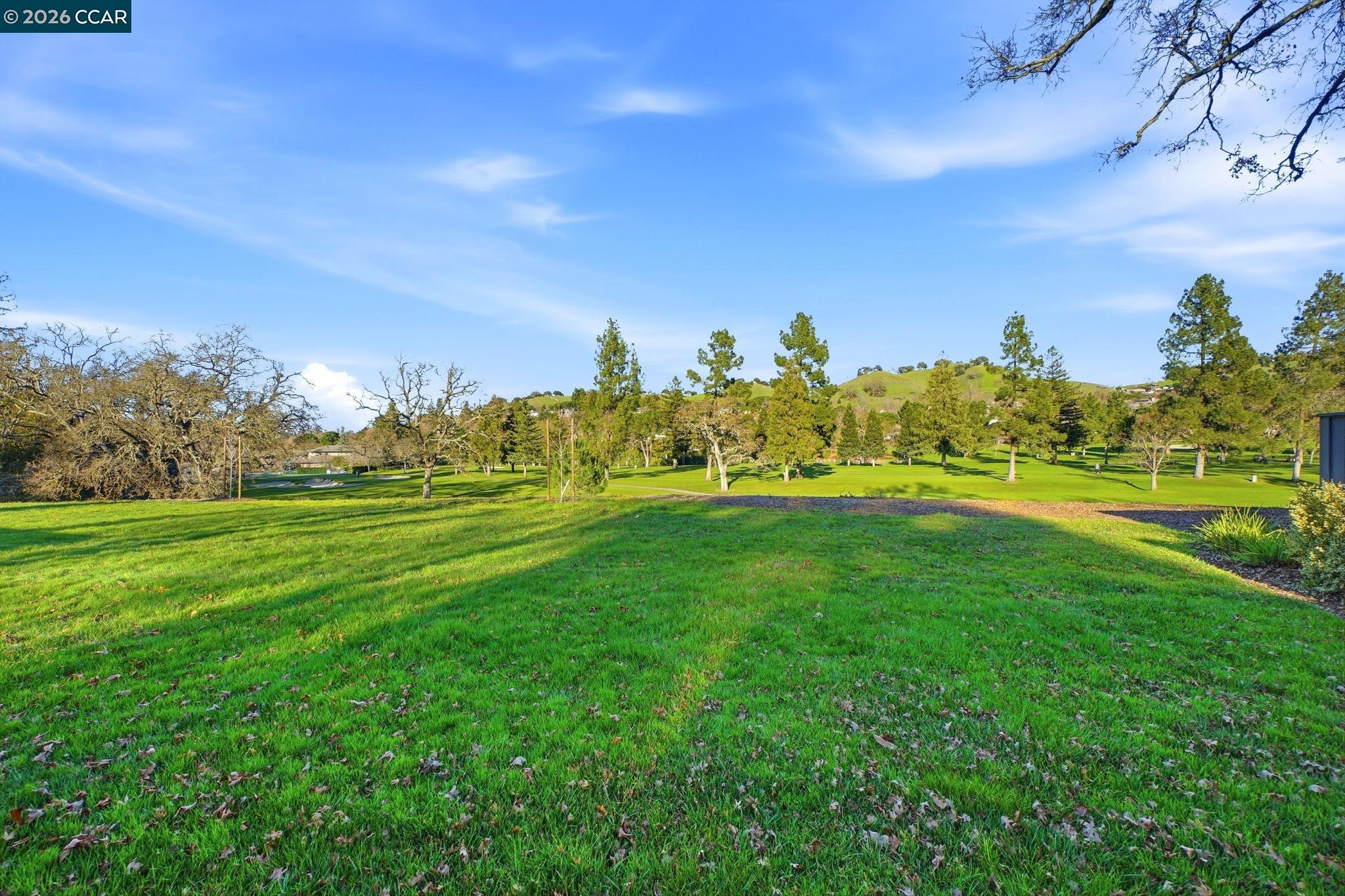 Photo #36: 41120437 Listing: Photo #36