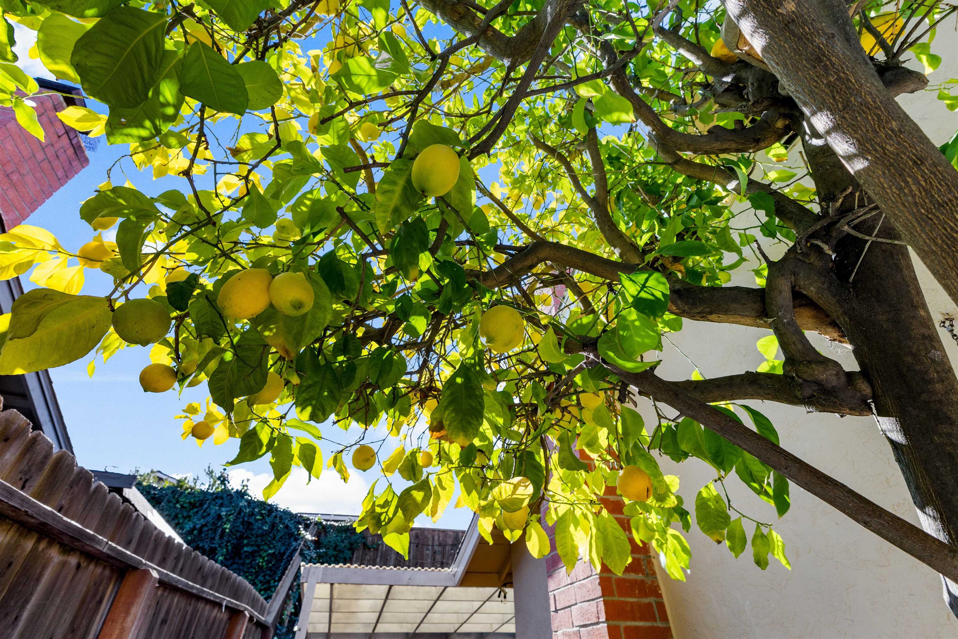 Detail Gallery Image 24 of 27 For 2283 Panoramic Dr, Concord,  CA 94520 - 4 Beds | 2 Baths