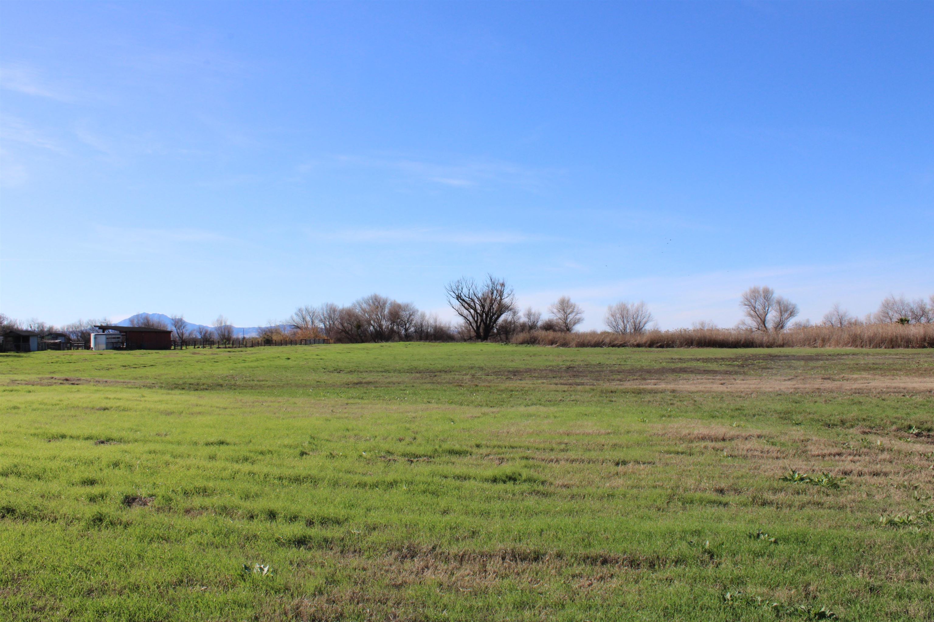 Detail Gallery Image 4 of 6 For 0 Willow Rd, Bethel Island,  CA 94511 - – Beds | – Baths