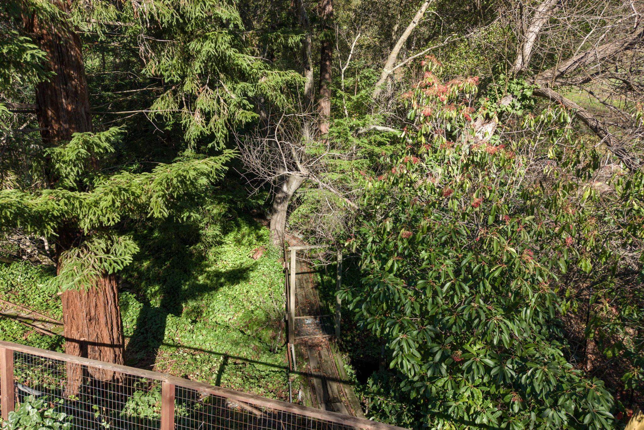 Detail Gallery Image 53 of 59 For 3326 Walnut Lane, Lafayette,  CA 94549 - 4 Beds | 2 Baths