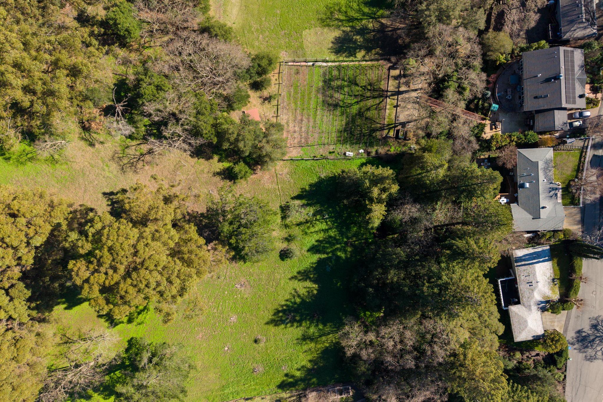 Detail Gallery Image 55 of 59 For 3326 Walnut Lane, Lafayette,  CA 94549 - 4 Beds | 2 Baths