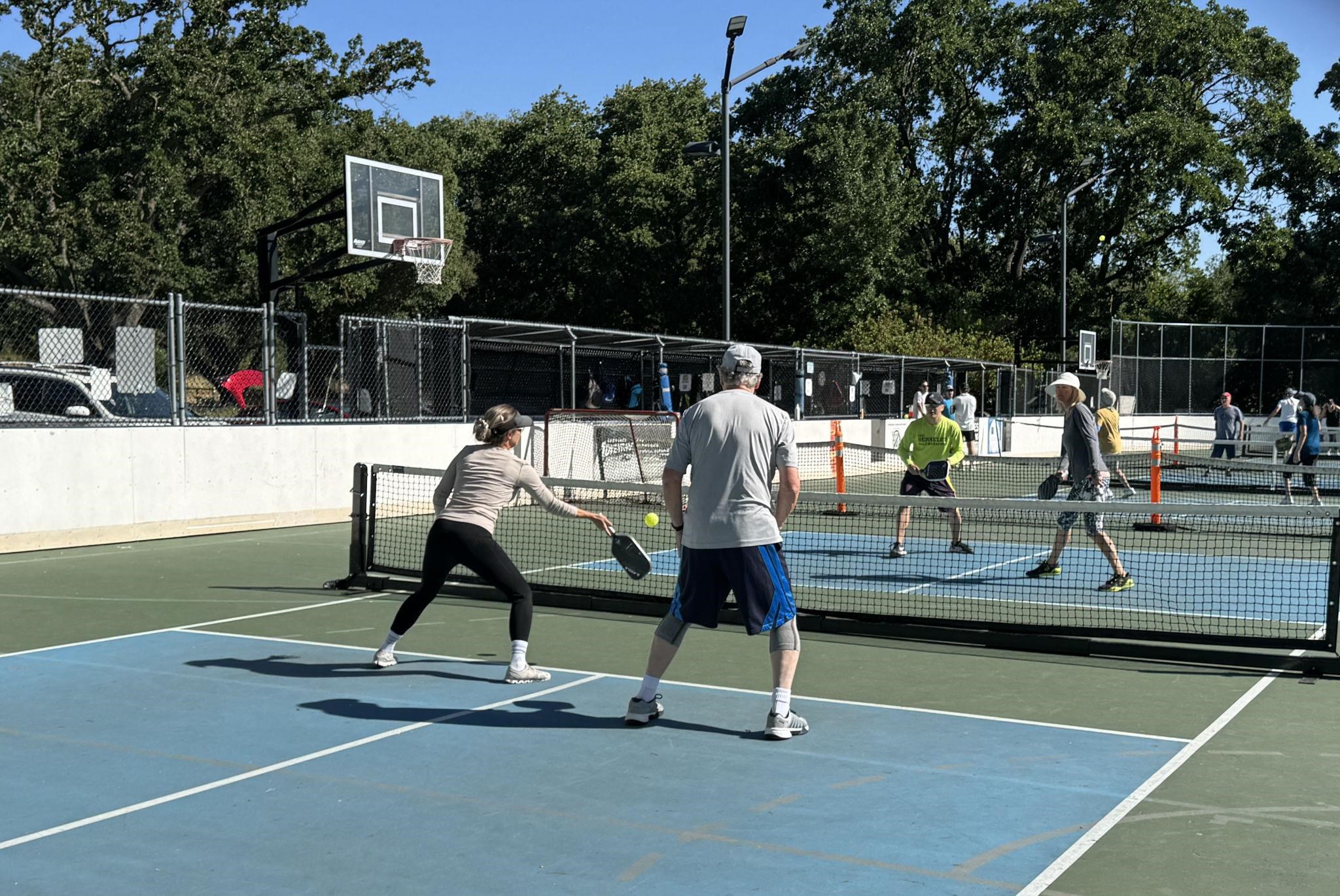 Detail Gallery Image 56 of 59 For 3326 Walnut Lane, Lafayette,  CA 94549 - 4 Beds | 2 Baths