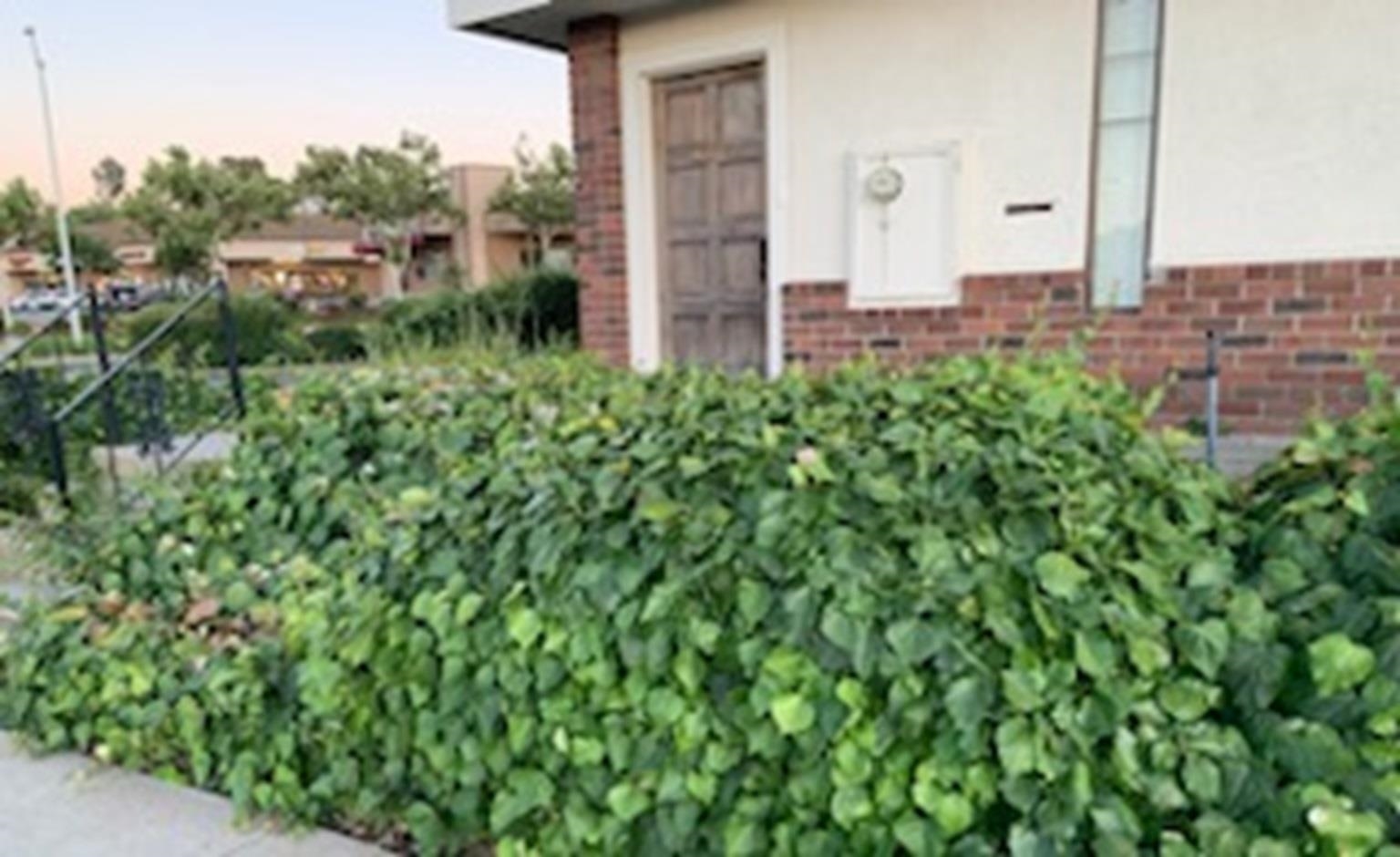 Detail Gallery Image 5 of 19 For 2800 Lone Tree Way, Antioch,  CA 94509 - – Beds | – Baths