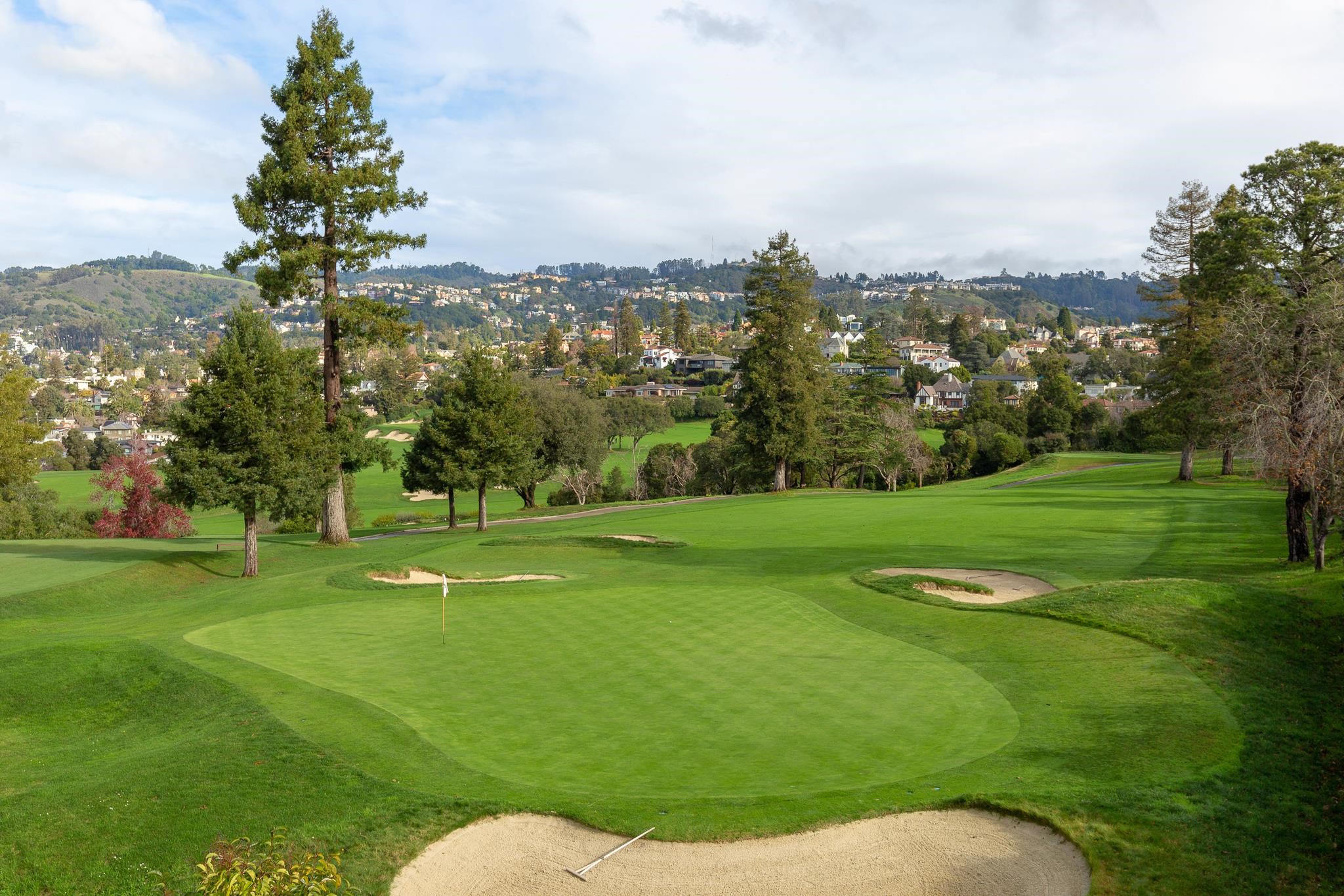 Photo #8: 41120466 Listing: Photo #8