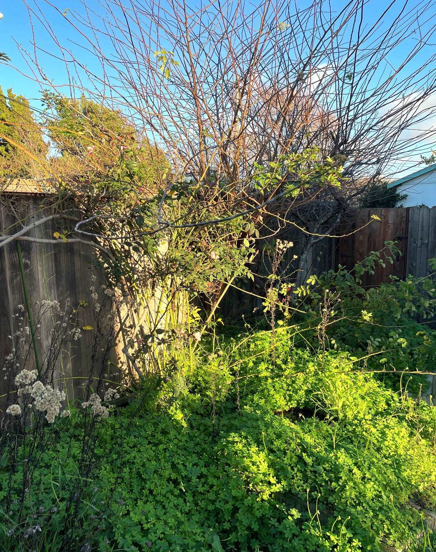 Detail Gallery Image 21 of 21 For 363 W Bissell Ave, Richmond,  CA 94801 - 2 Beds | 1 Baths