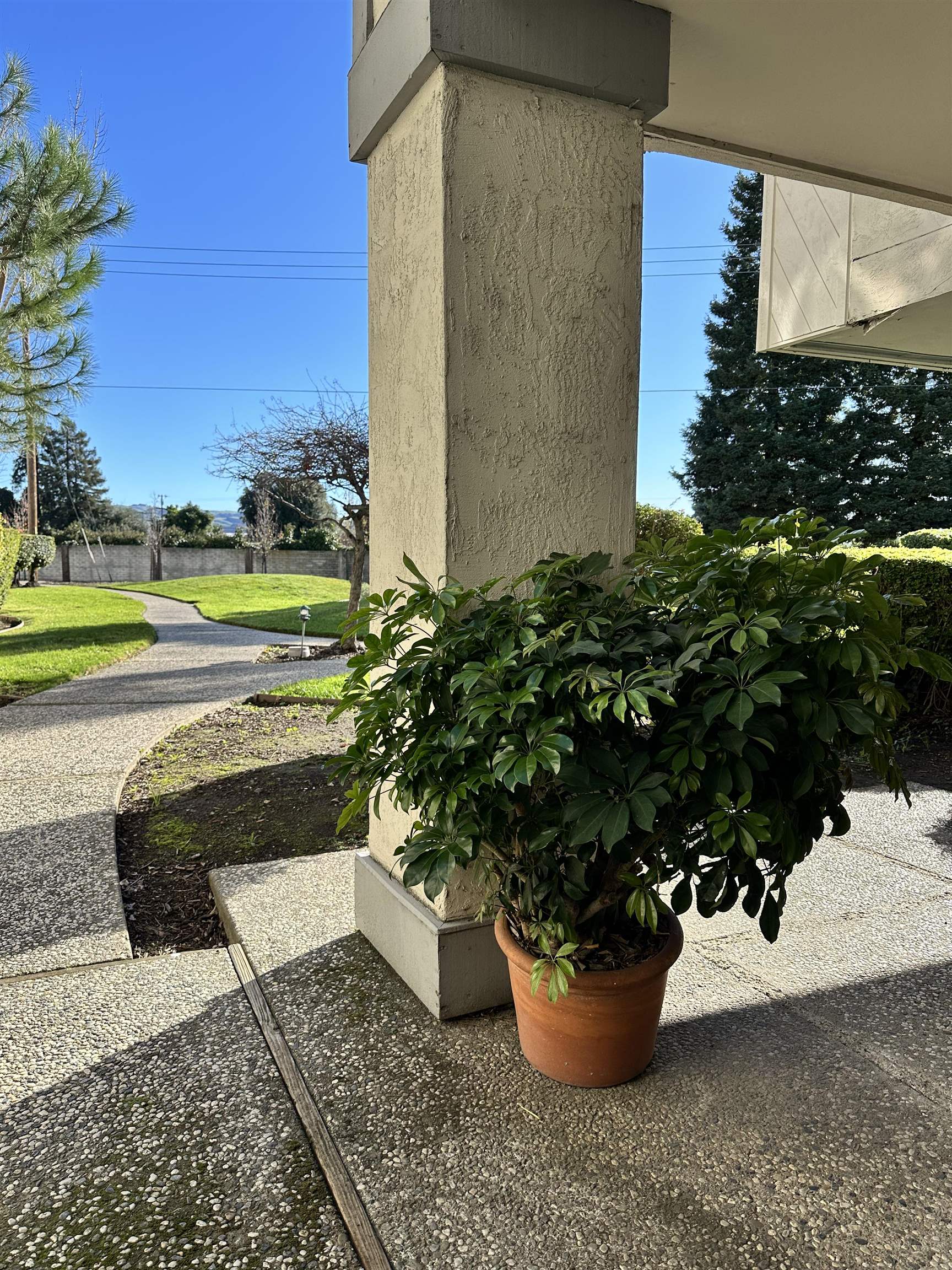 Photo #31: 41120486 Listing: Photo #31