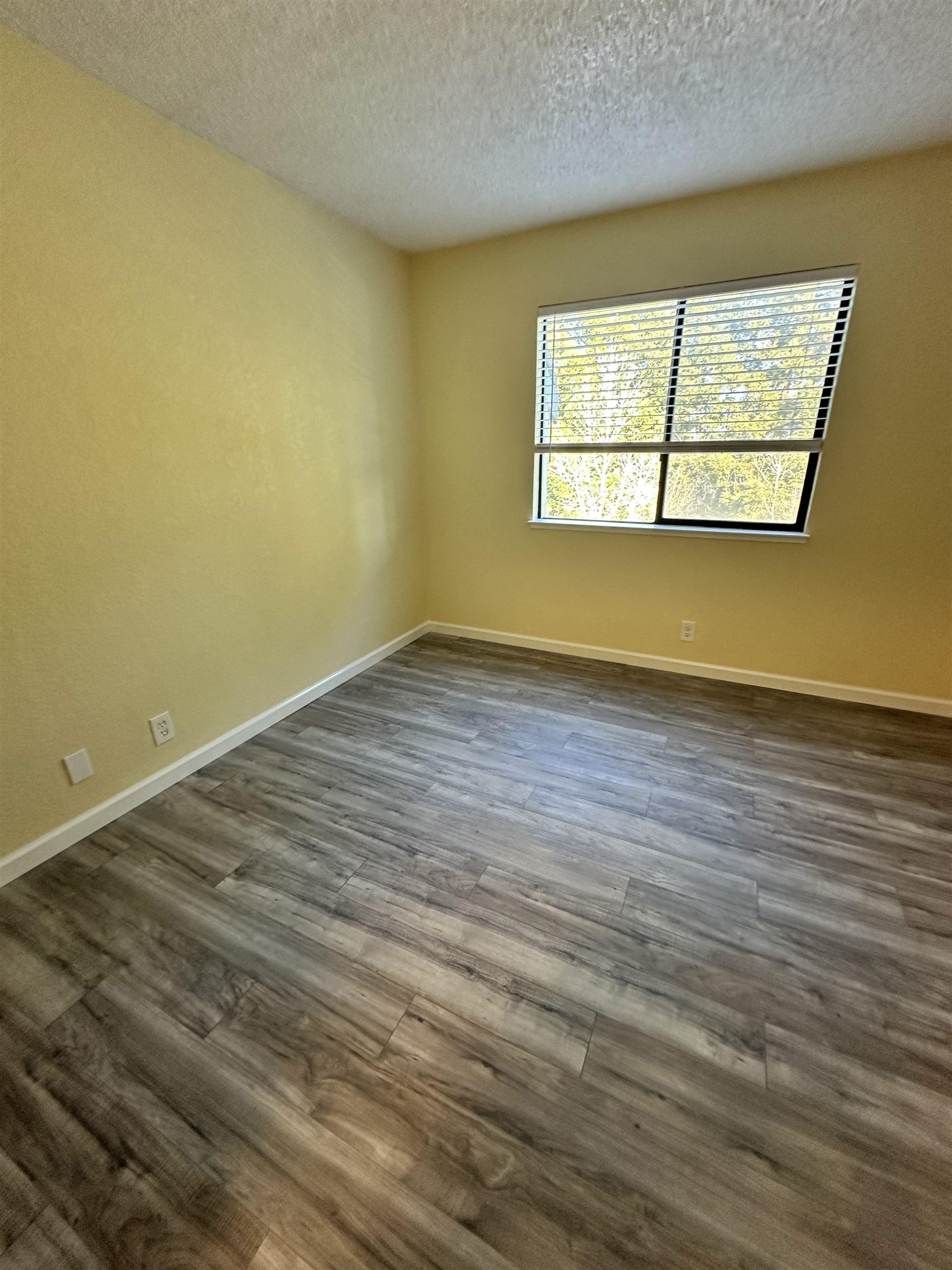 Photo #53: 41120486 Listing: Photo #53