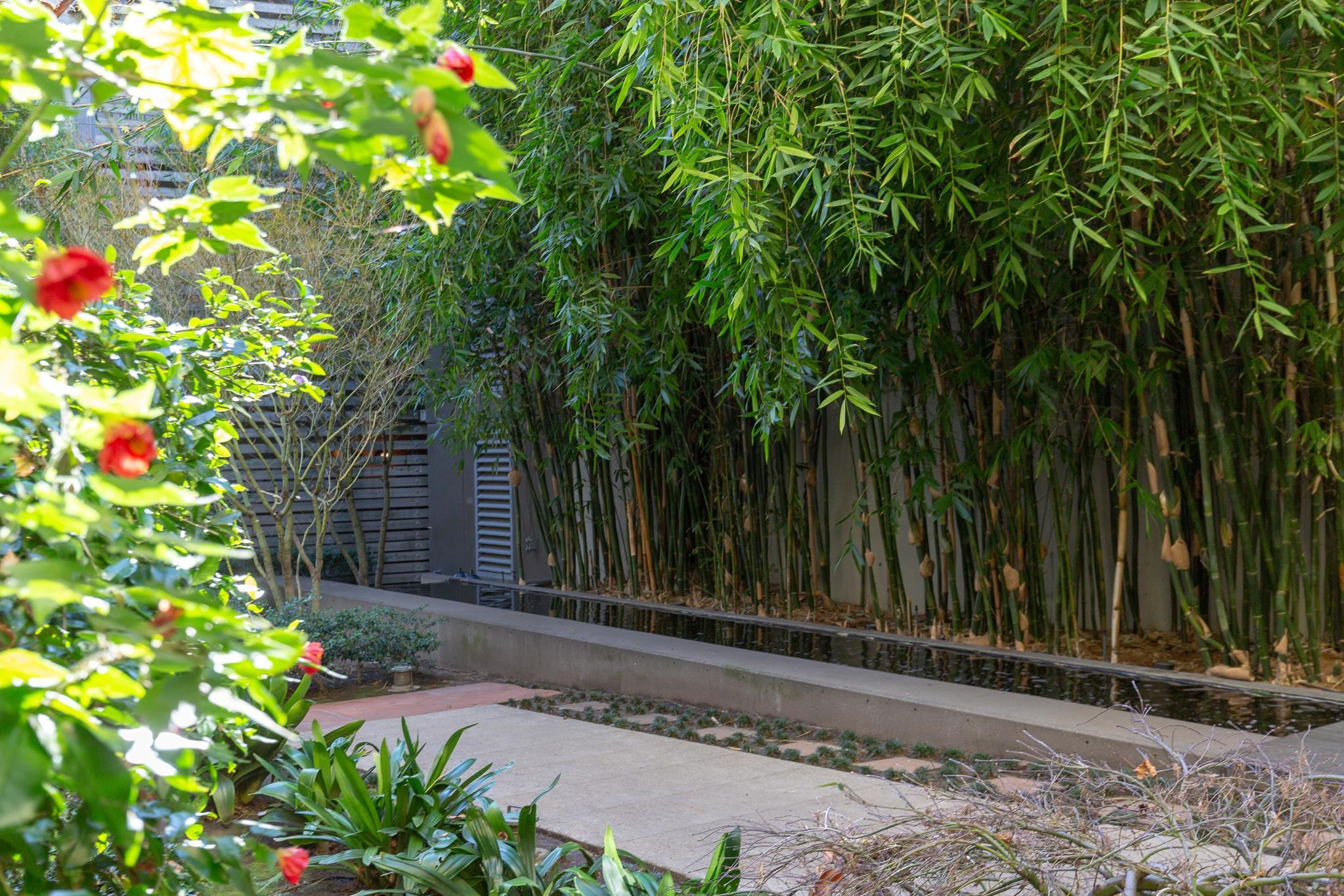 Photo #39: 41120499 Listing: Photo #39