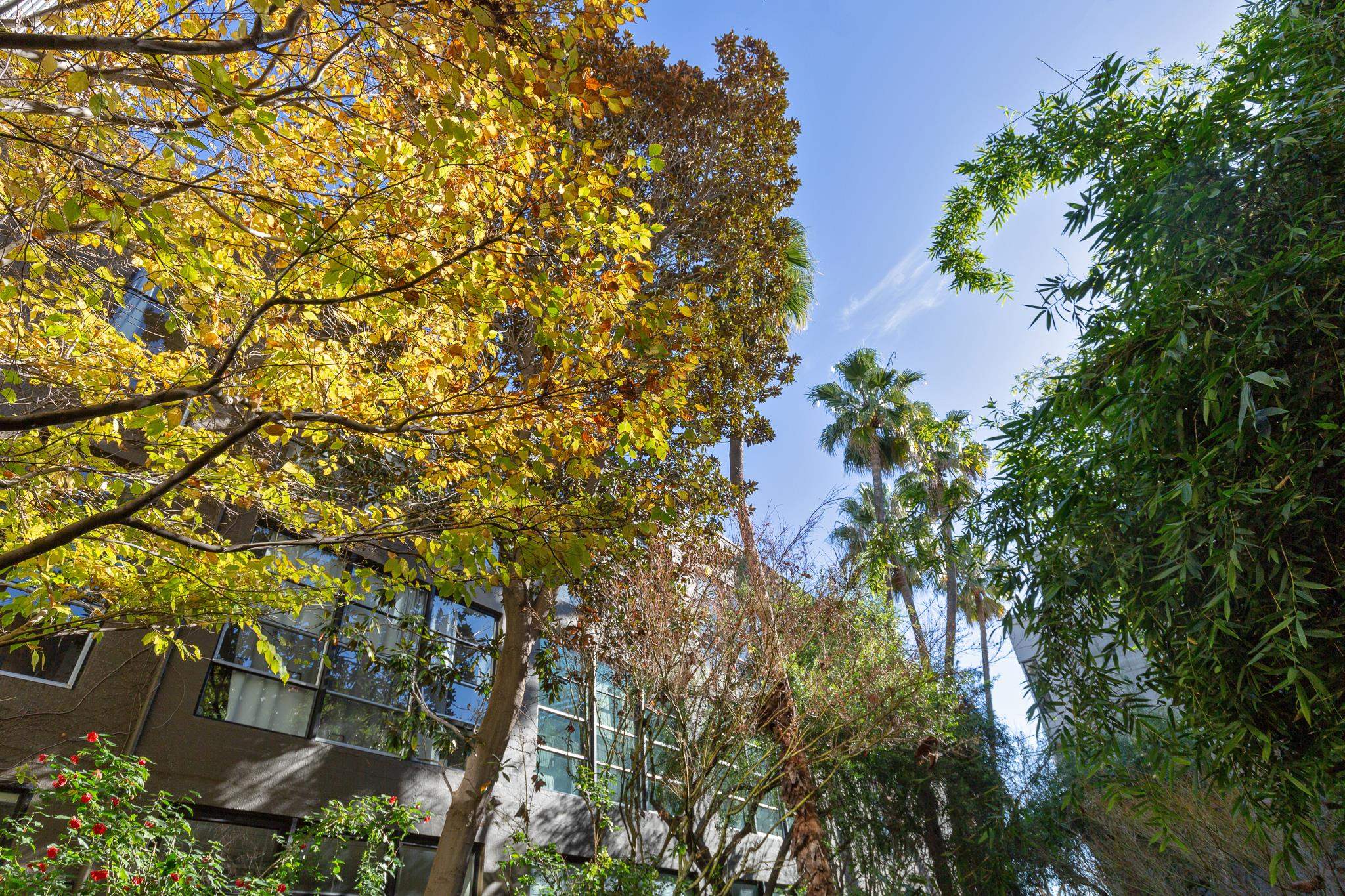 Photo #40: 41120499 Listing: Photo #40