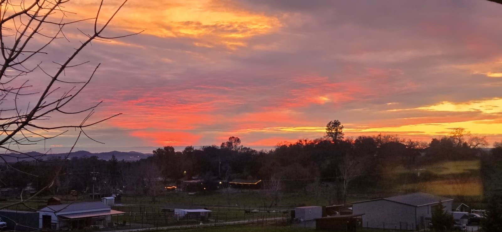 Detail Gallery Image 53 of 55 For 17550 Old Wards Ferry Rd, Sonora,  CA 95370 - 4 Beds | 3/1 Baths