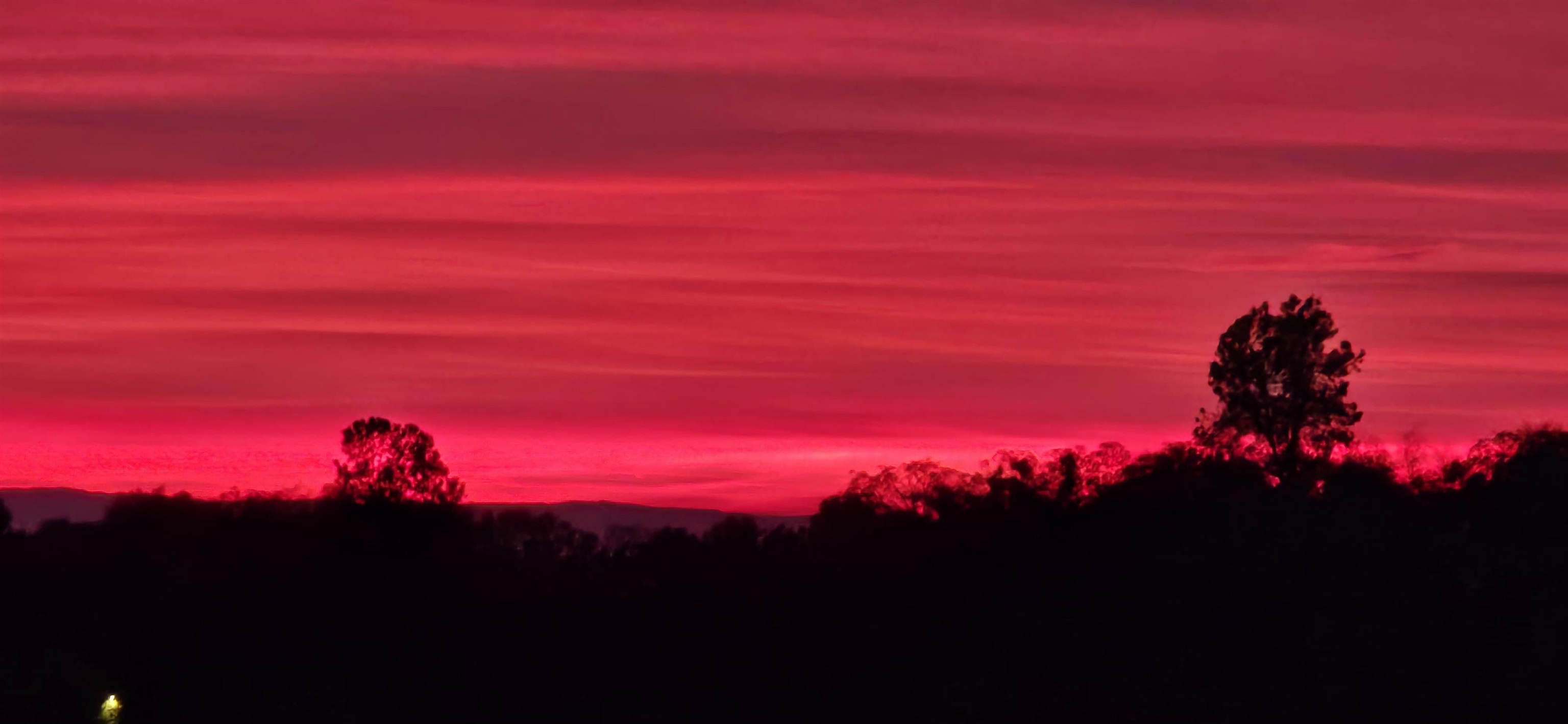 Detail Gallery Image 57 of 60 For 17550 Old Wards Ferry Rd, Sonora,  CA 95370 - 4 Beds | 3/1 Baths