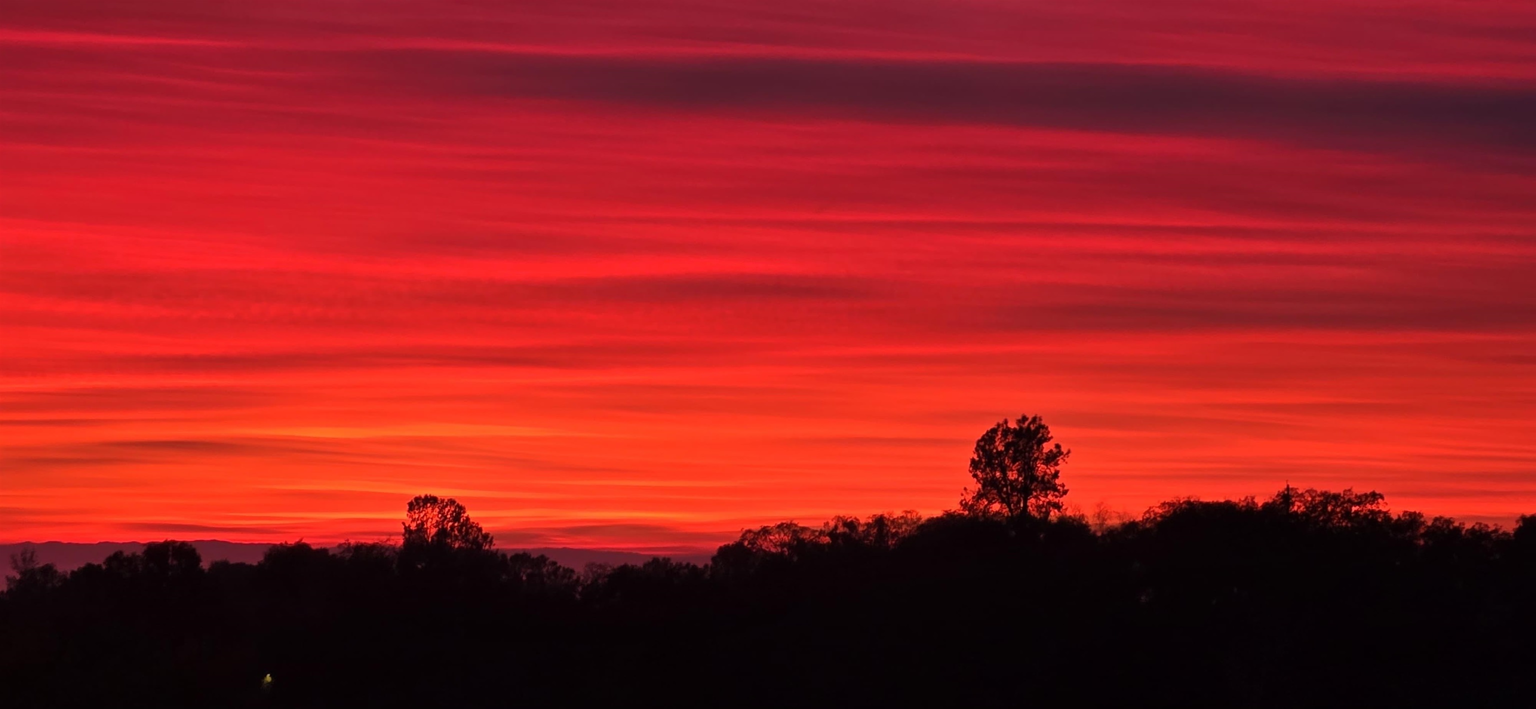 Detail Gallery Image 59 of 60 For 17550 Old Wards Ferry Rd, Sonora,  CA 95370 - 4 Beds | 3/1 Baths
