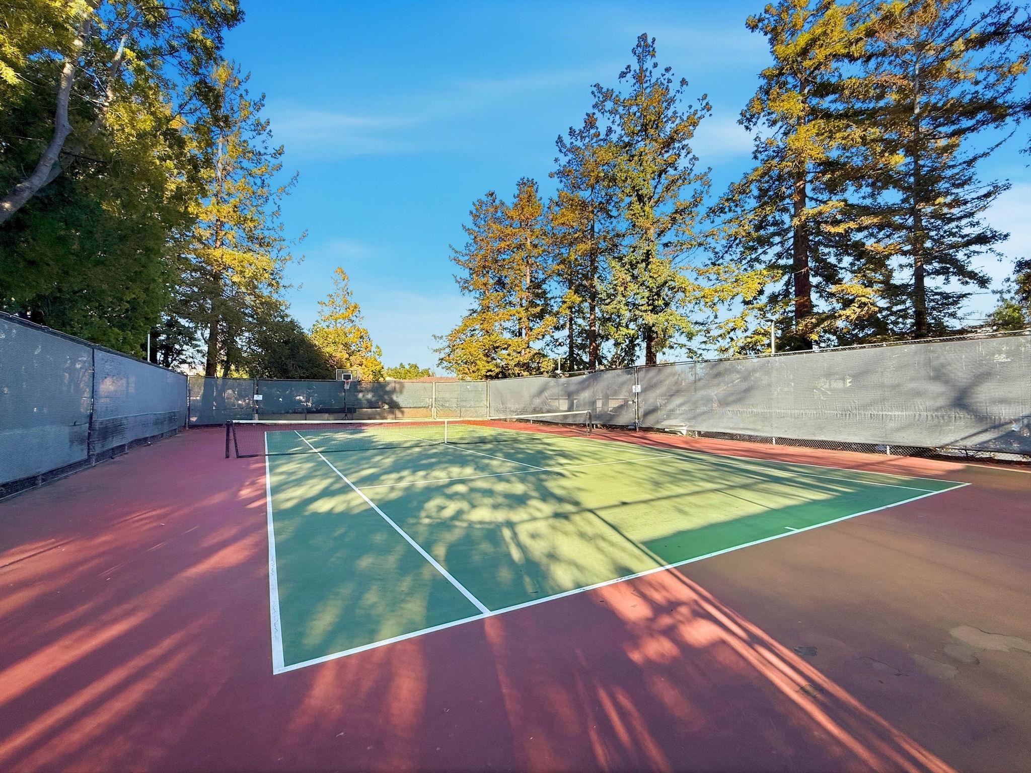 Photo #28: 41120506 Listing: Photo #28