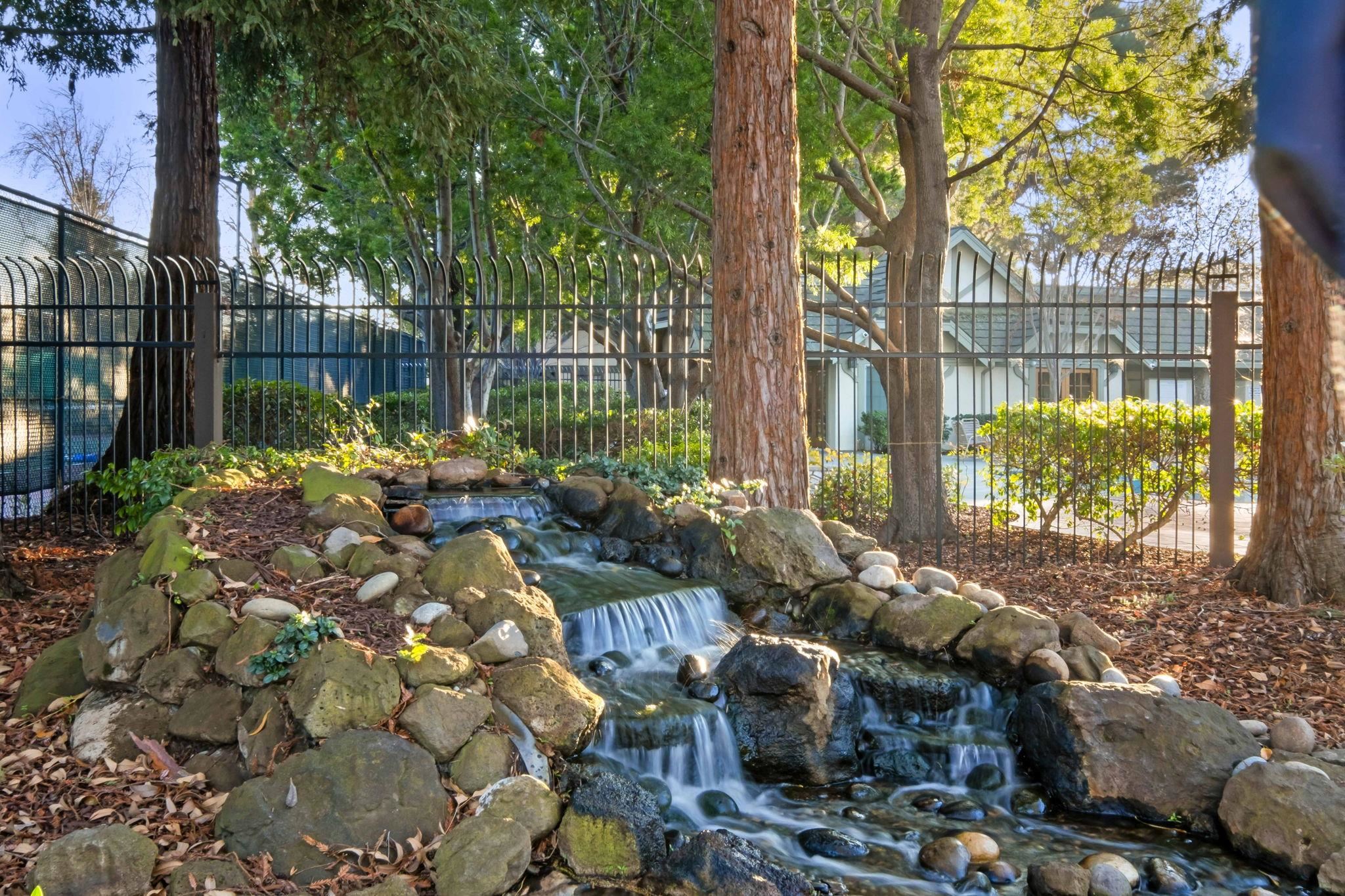 Photo #31: 41120506 Listing: Photo #31