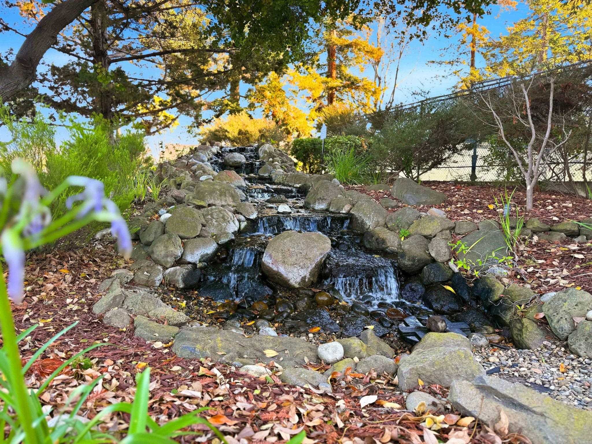 Photo #32: 41120506 Listing: Photo #32