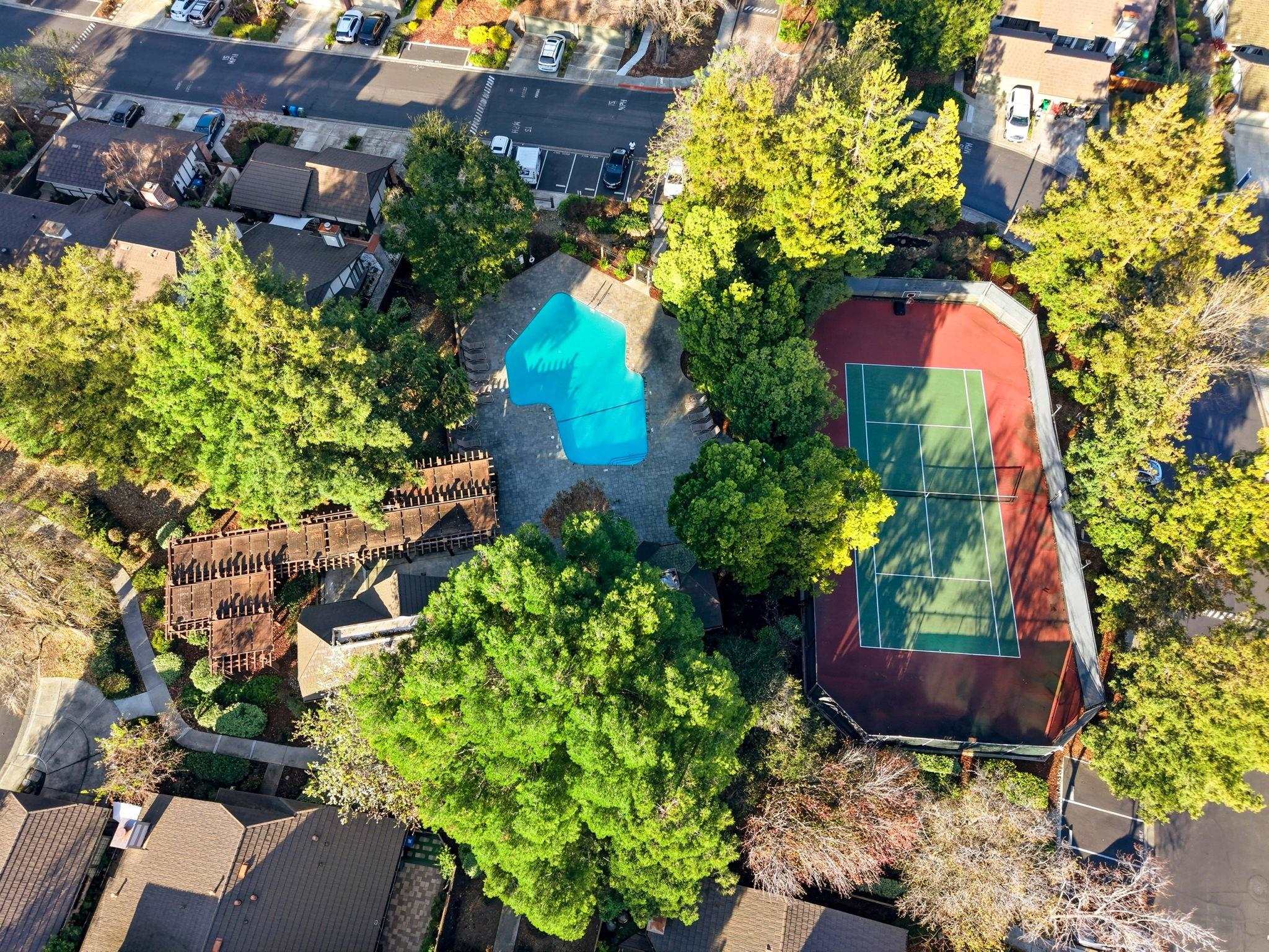 Photo #33: 41120506 Listing: Photo #33