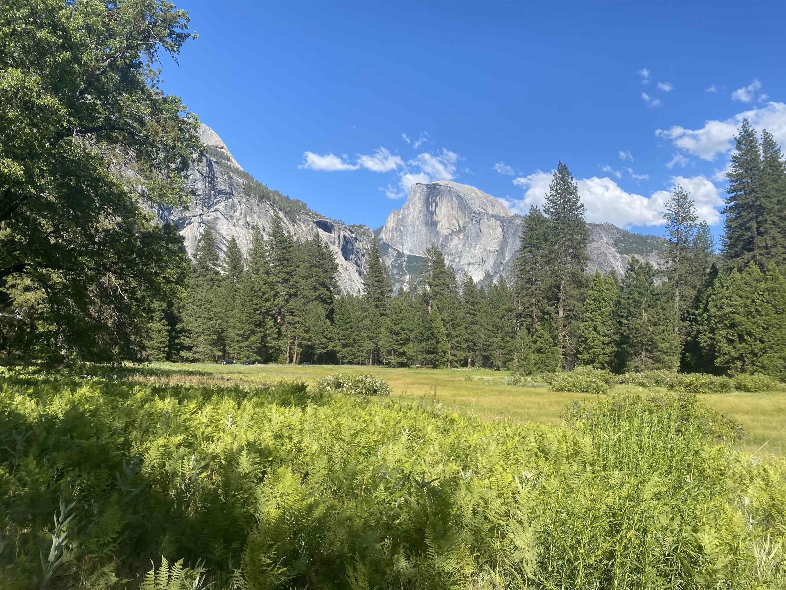 Detail Gallery Image 54 of 55 For 20872 Mckinley Way, Groveland,  CA 95321 - 2 Beds | 2 Baths