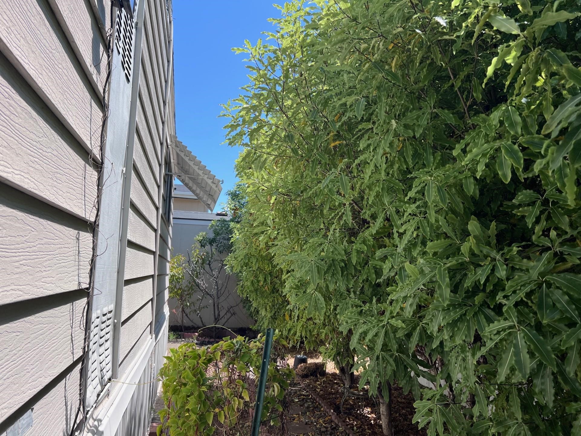 Detail Gallery Image 35 of 38 For 1352 Chelsea Way, Hayward,  CA 94544 - 2 Beds | 2 Baths