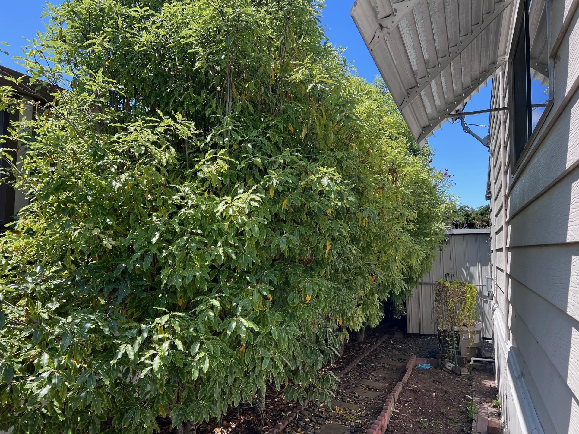 Detail Gallery Image 37 of 38 For 1352 Chelsea Way, Hayward,  CA 94544 - 2 Beds | 2 Baths