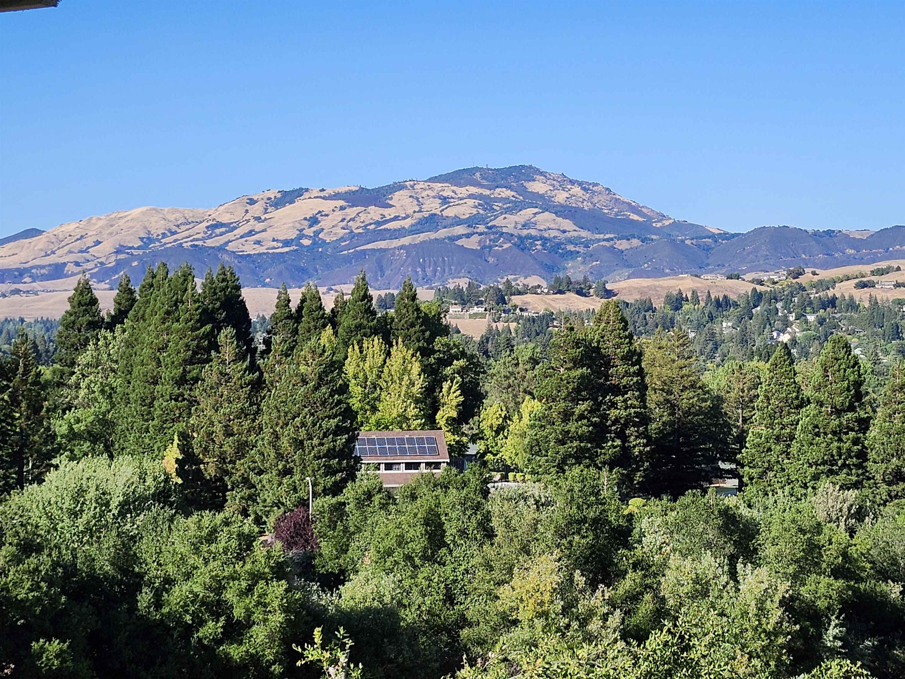 Photo #41: 41120560 Listing: Photo #41