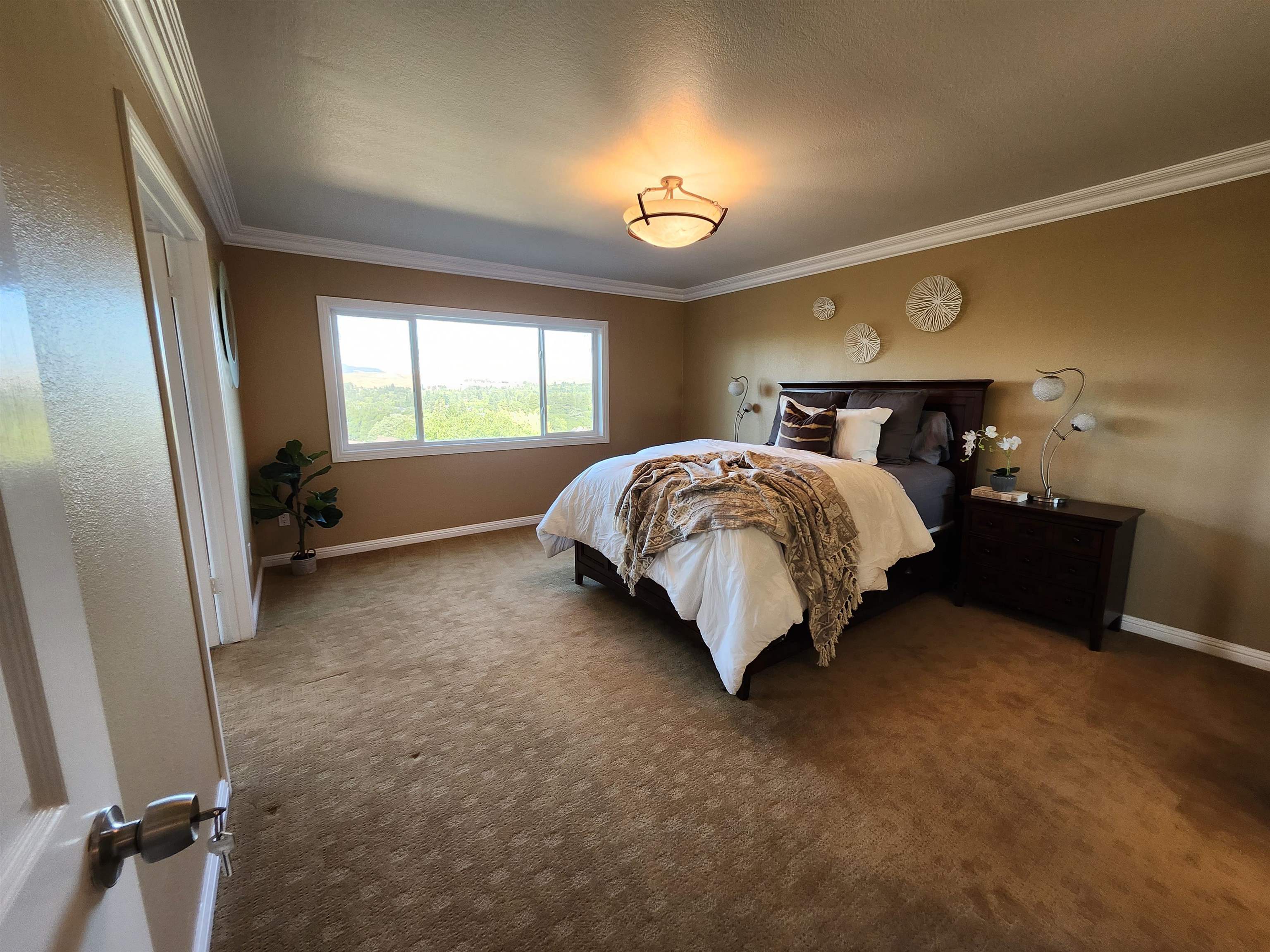 Photo #46: 41120560 Listing: Photo #46