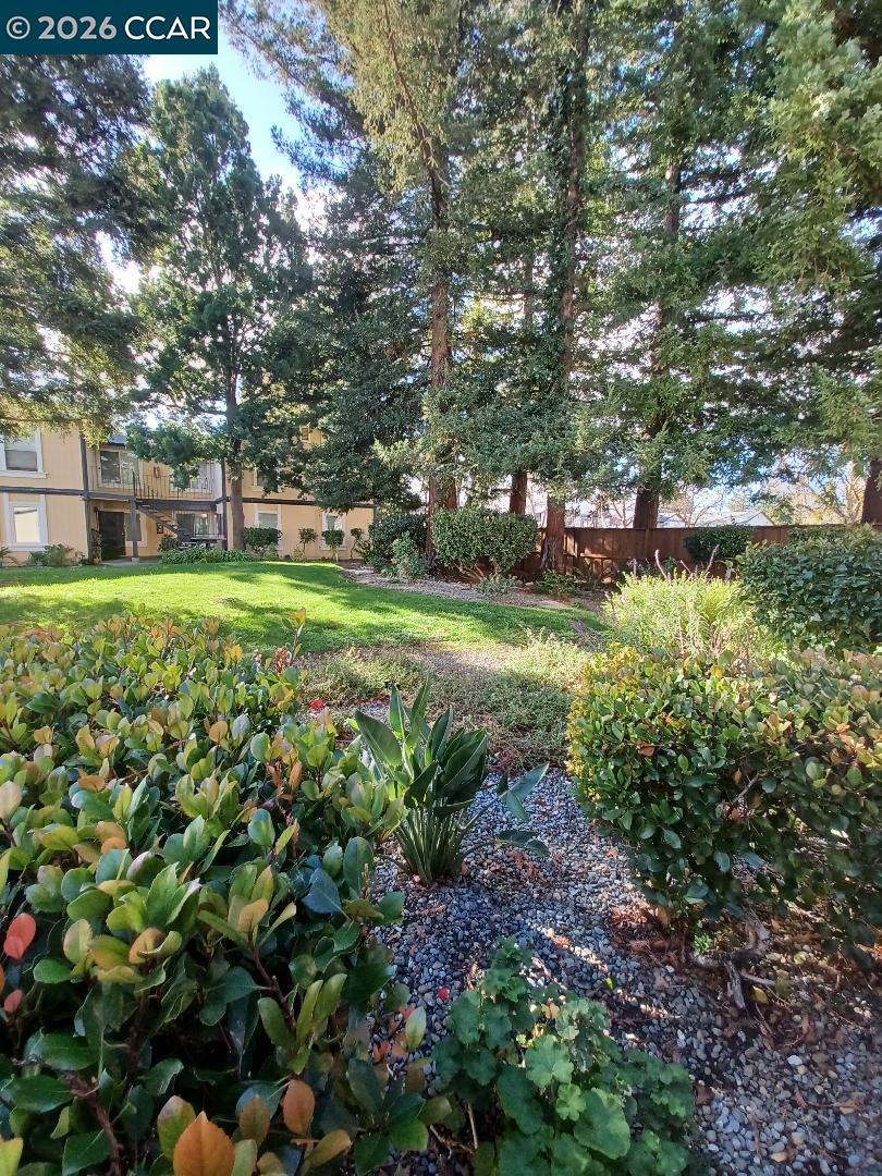 Photo #18: 41120564 Listing: Photo #18