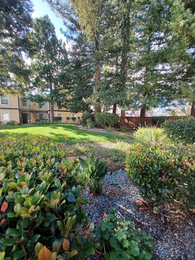 Photo #18: 41120564 Listing: Photo #18