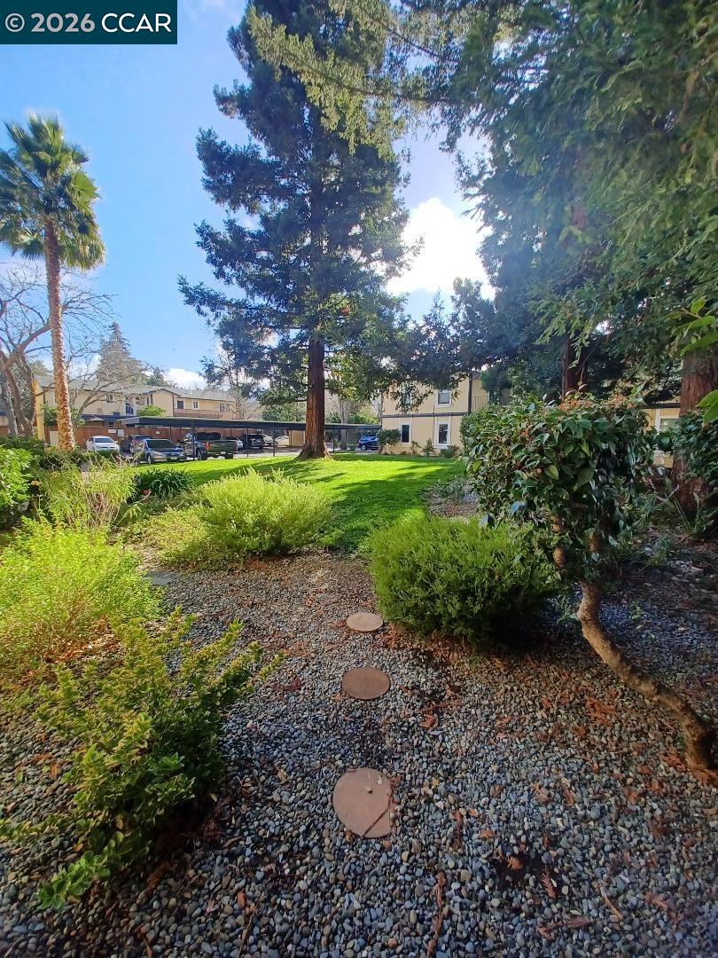 Photo #19: 41120564 Listing: Photo #19