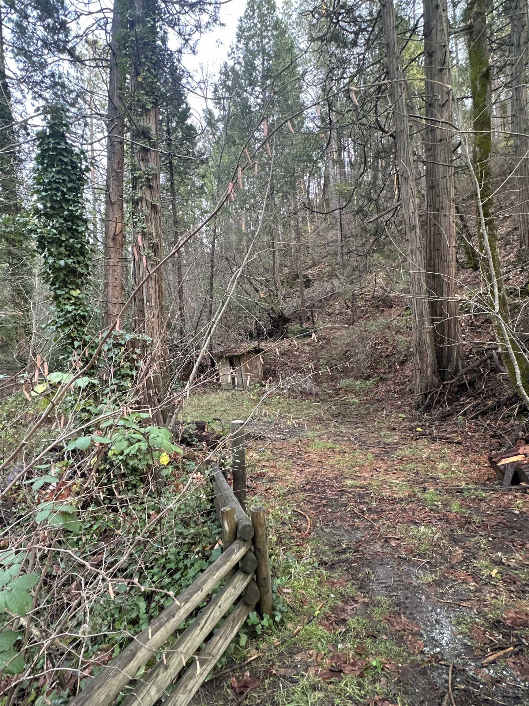 Detail Gallery Image 2 of 8 For 22895 S Fork Rd., Twain Harte,  CA 95383 - – Beds | – Baths