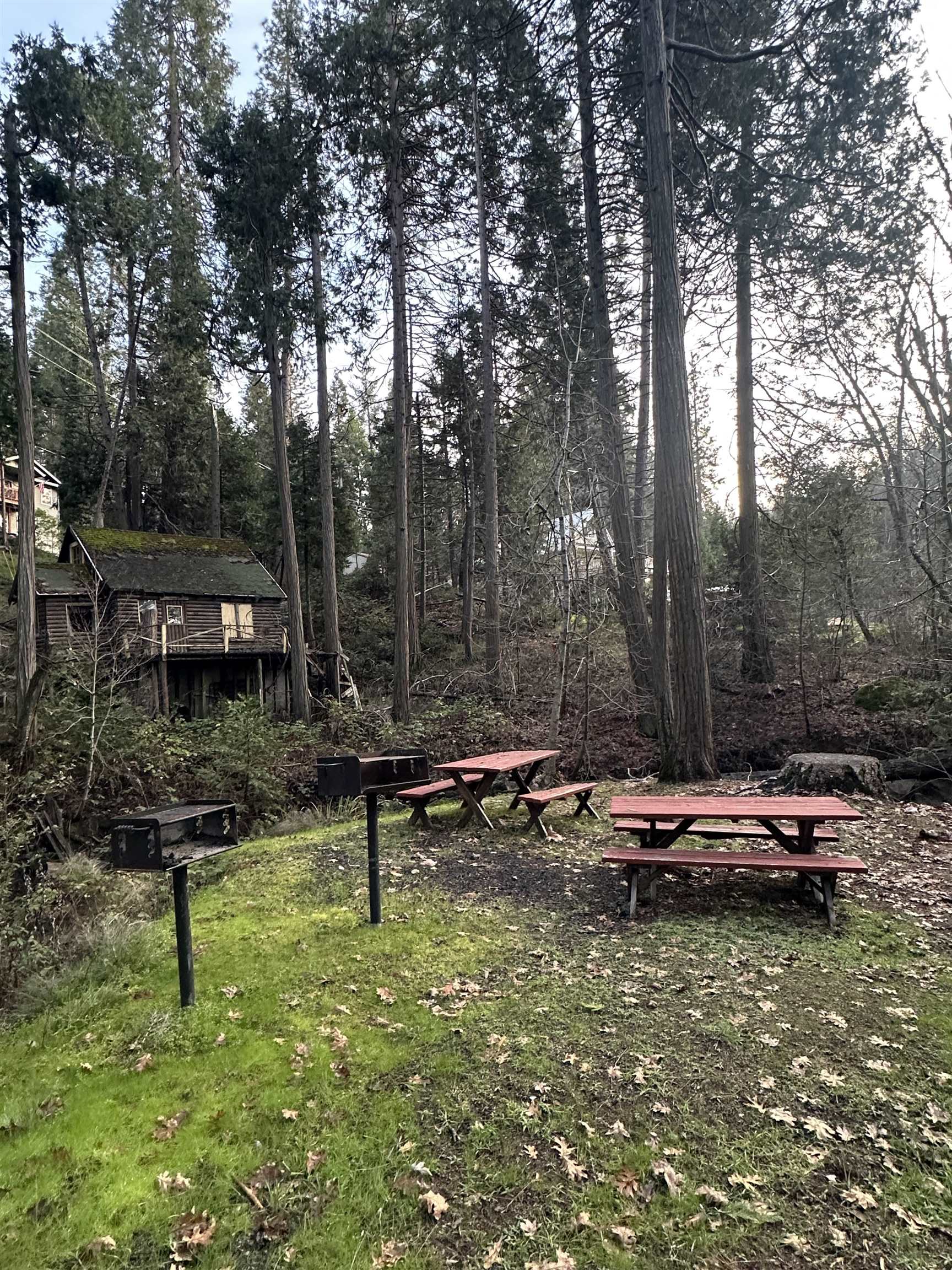 Detail Gallery Image 4 of 8 For 22895 S Fork Rd., Twain Harte,  CA 95383 - – Beds | – Baths